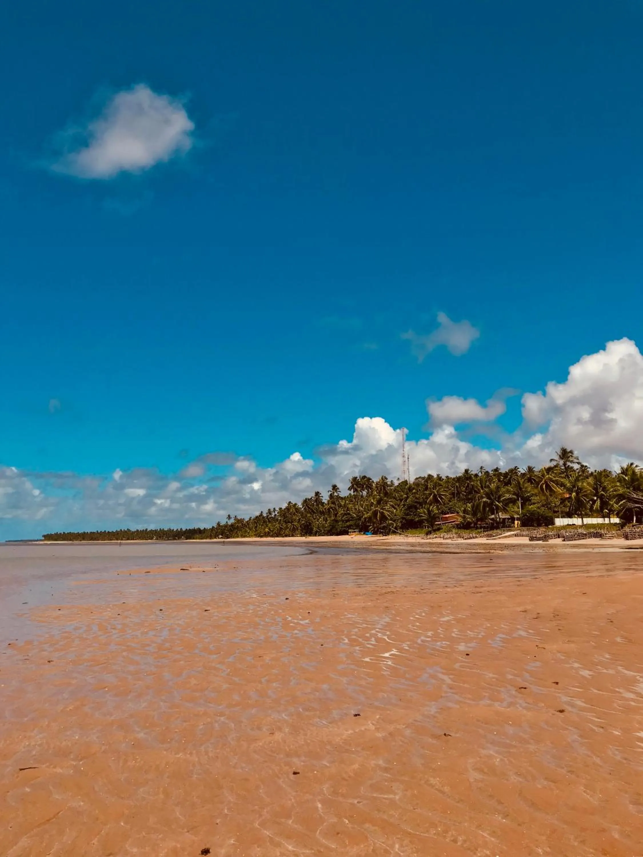 Natural landscape in Pousada Yapara-Tyba