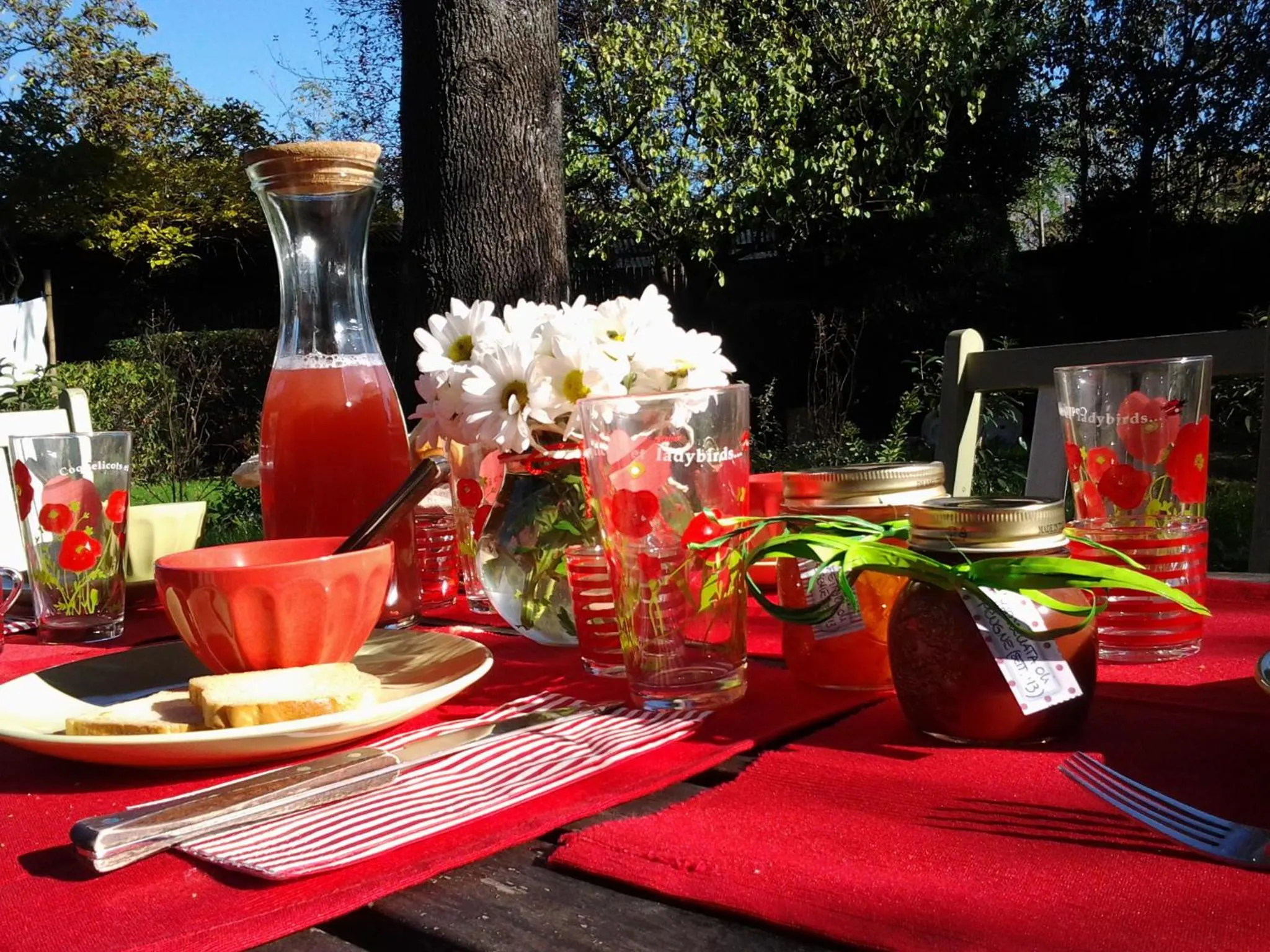 Other in Il Pettirosso B&B