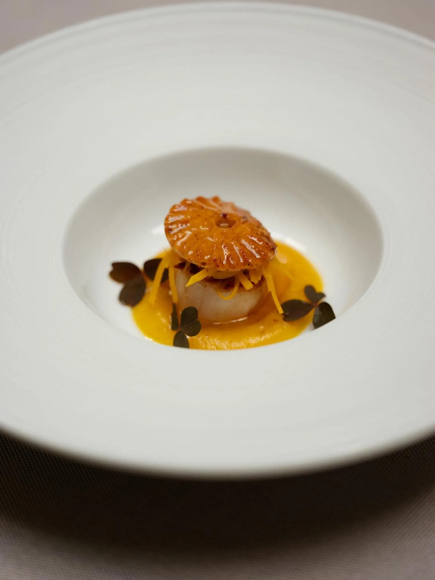 Restaurant/places to eat in Hotel Copernicus