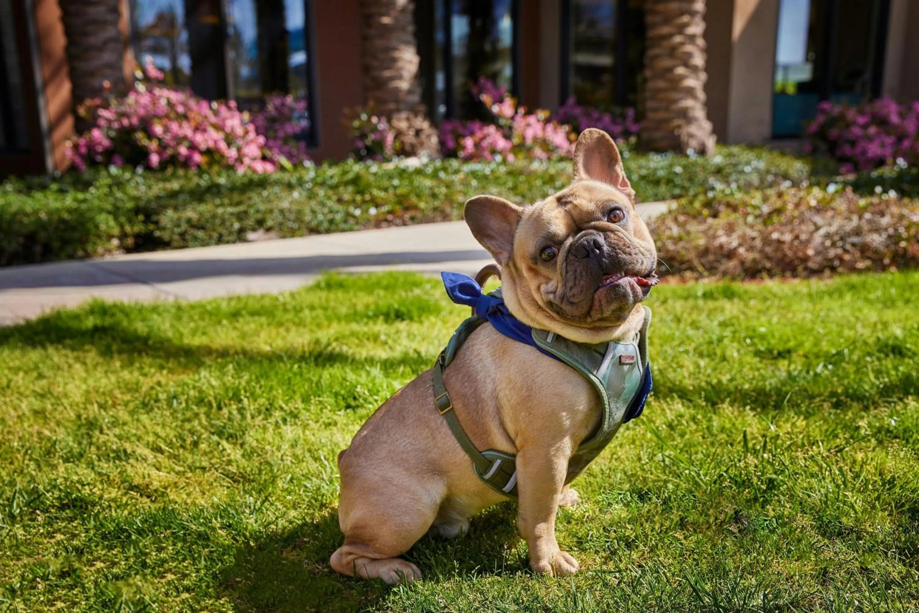 Other in Residence Inn by Marriott Los Angeles Redondo Beach
