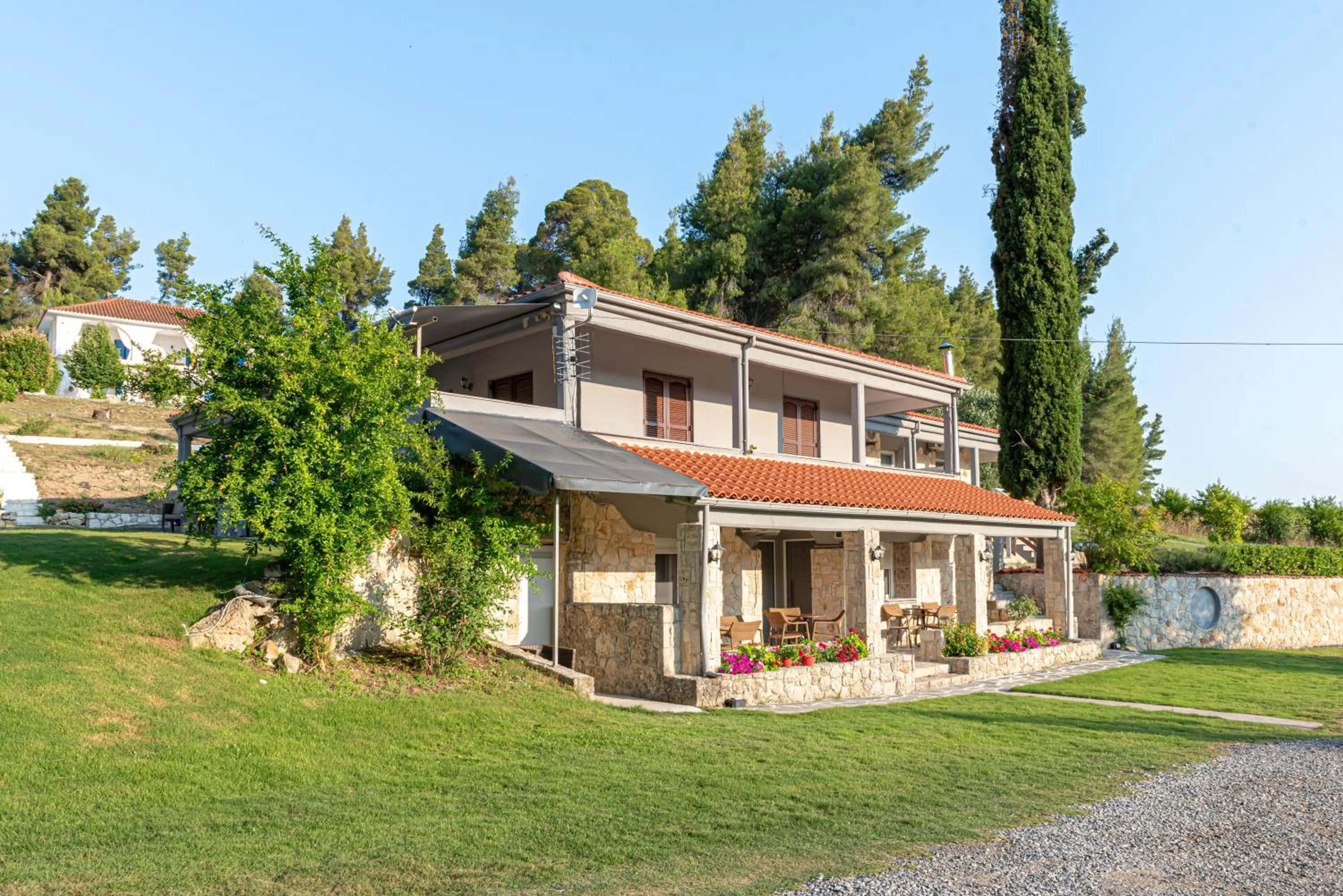 Property building in Medusa Rooms