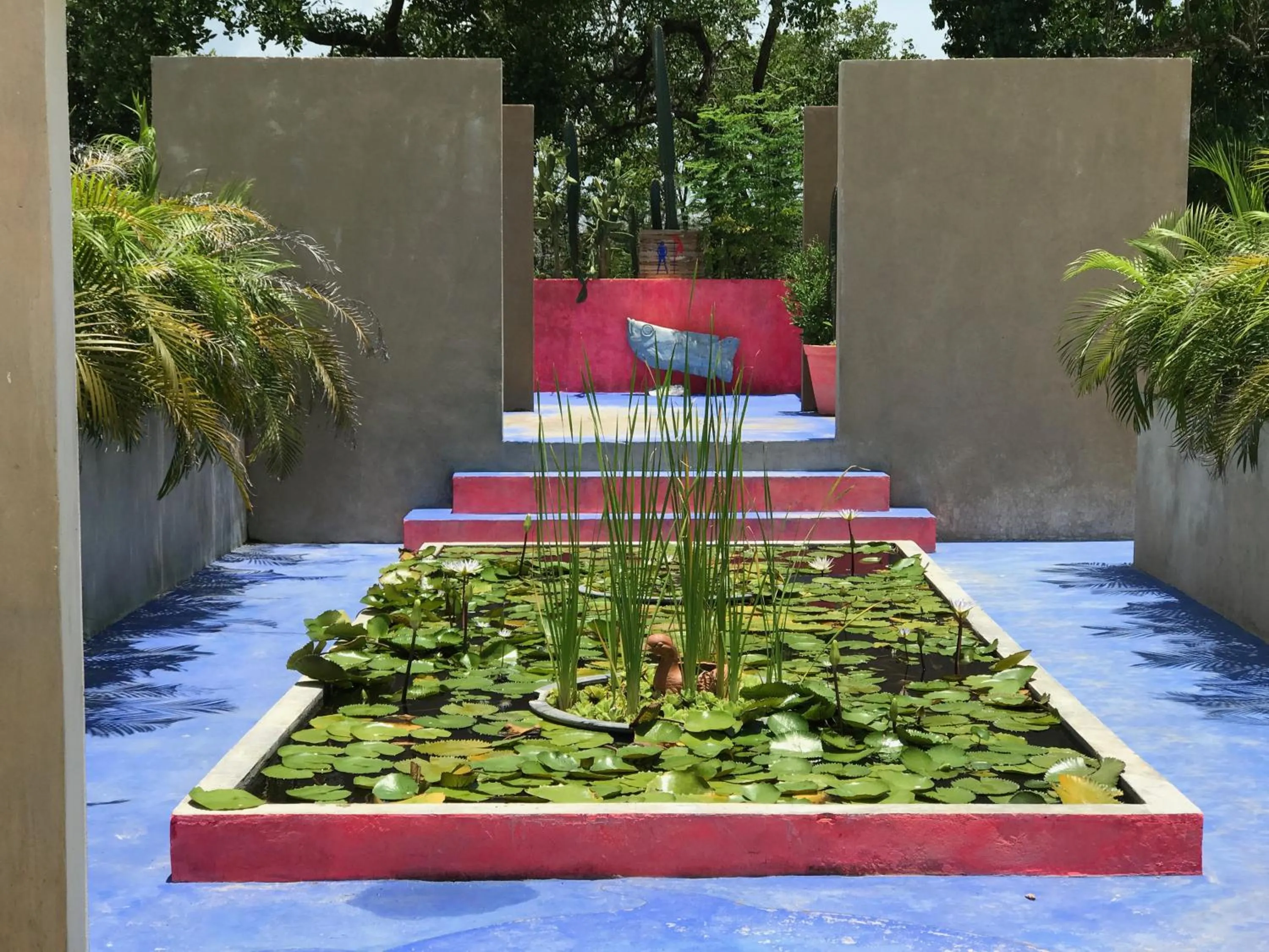 Garden in Fenix Beach Cartagena