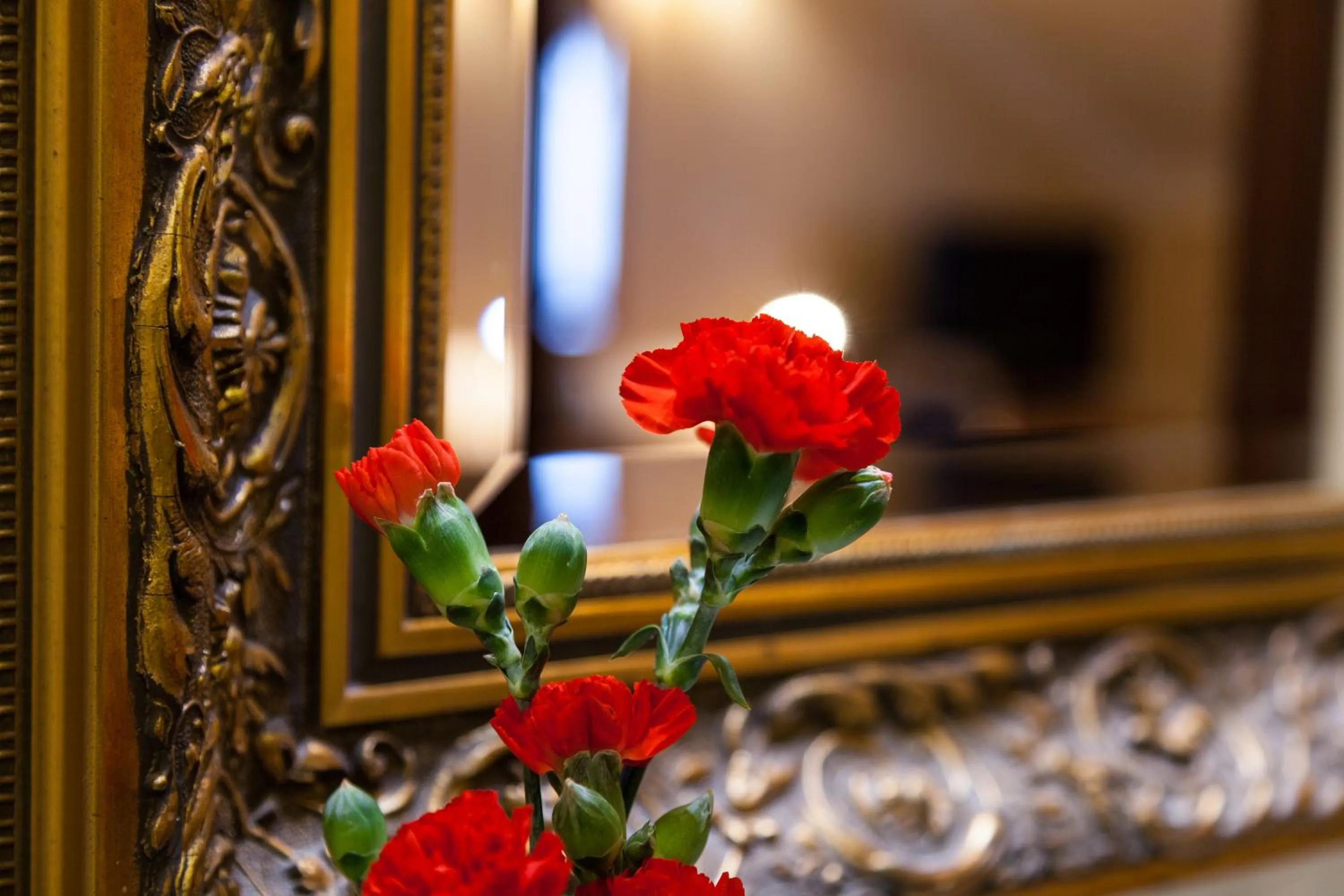 Property building in Hotel Branicki