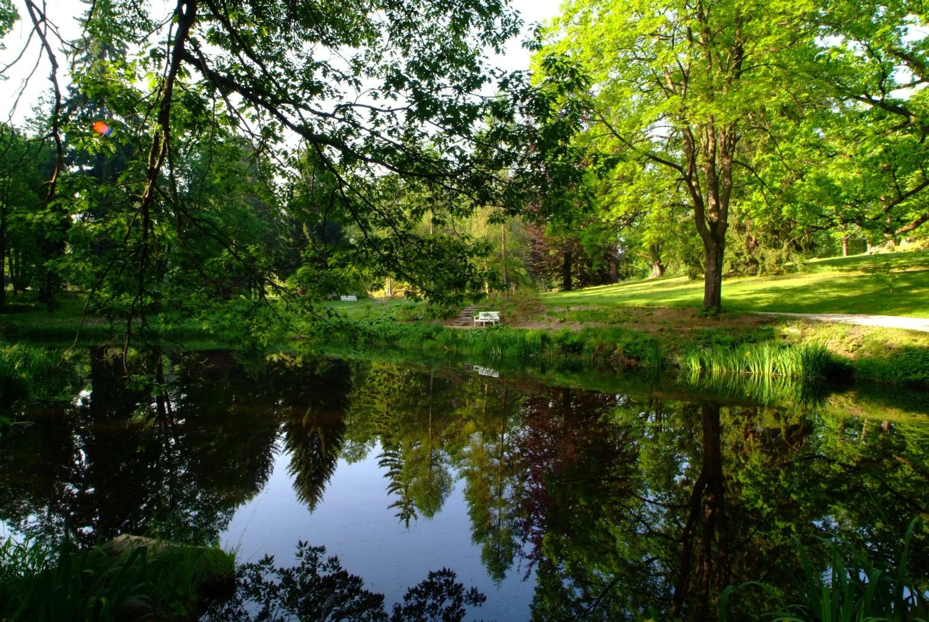 Natural landscape in Hotel Palac Staniszow