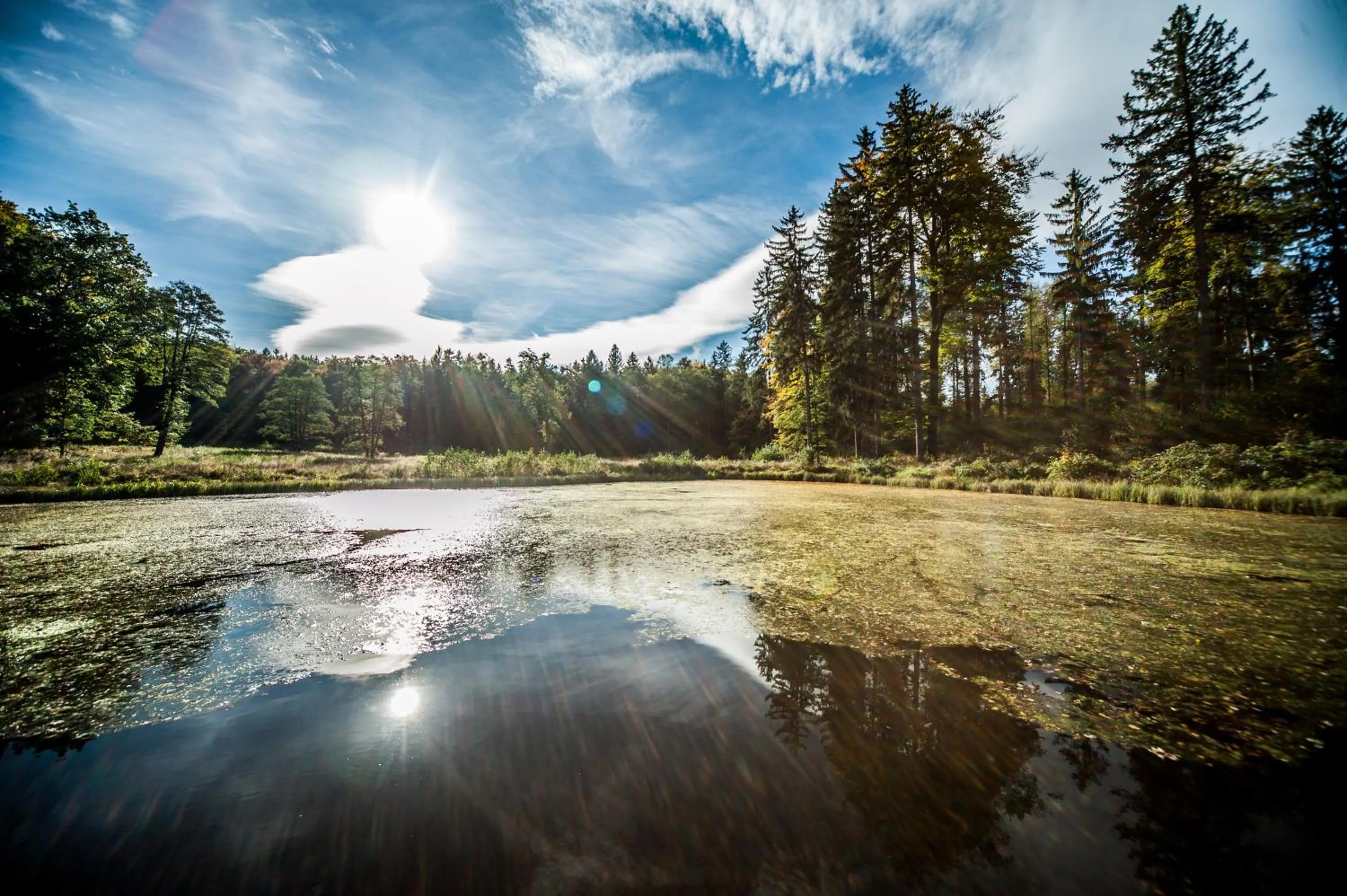 Off site in Hotel Palac Staniszow