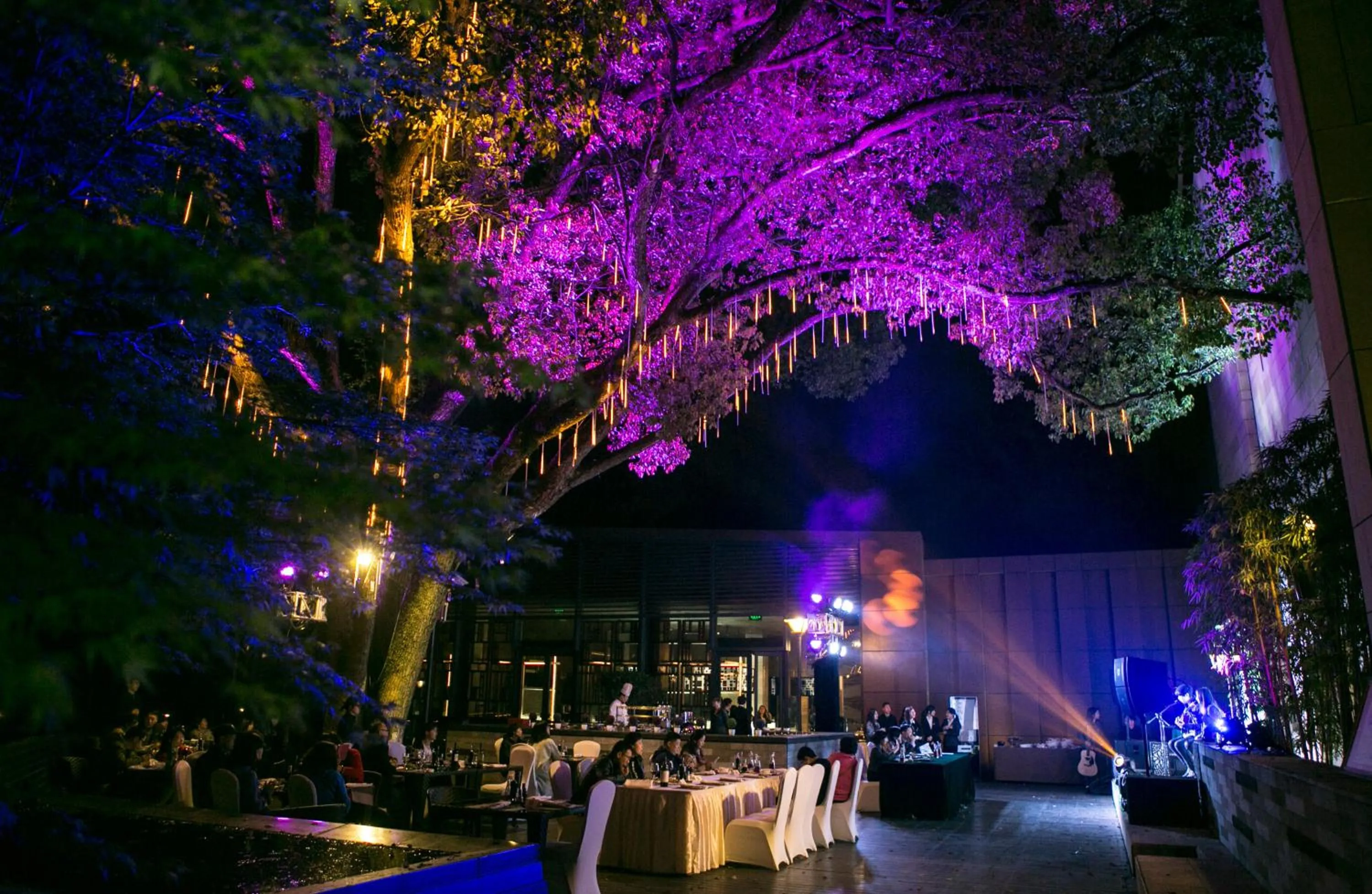 Decorative detail in Millennium Resort Hangzhou