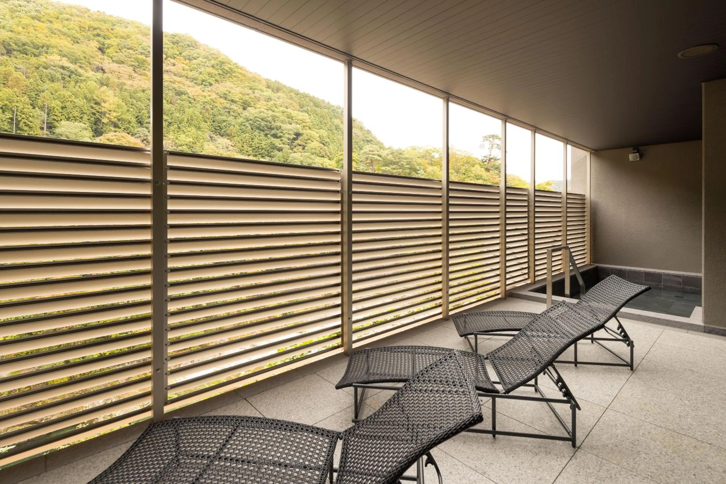 Public Bath in Minakami Onsen Aratashi Minakami