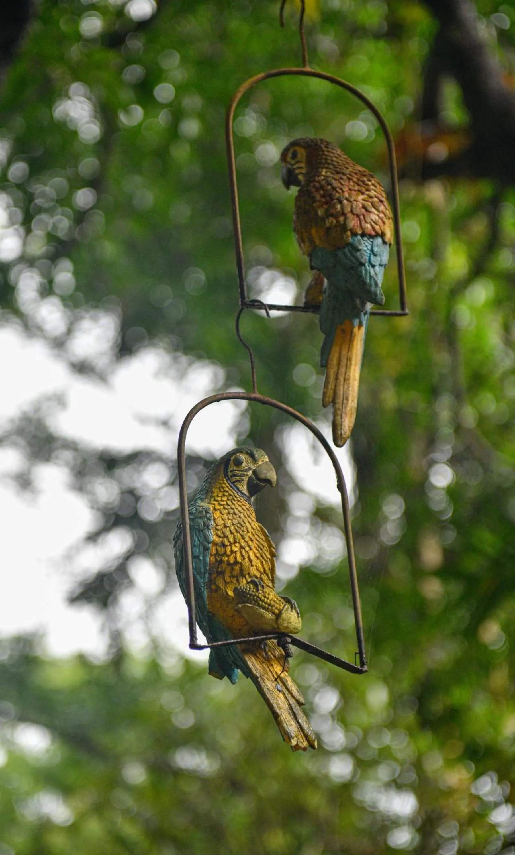 Day in Storii By ITC Hotels, Shanti Morada Goa