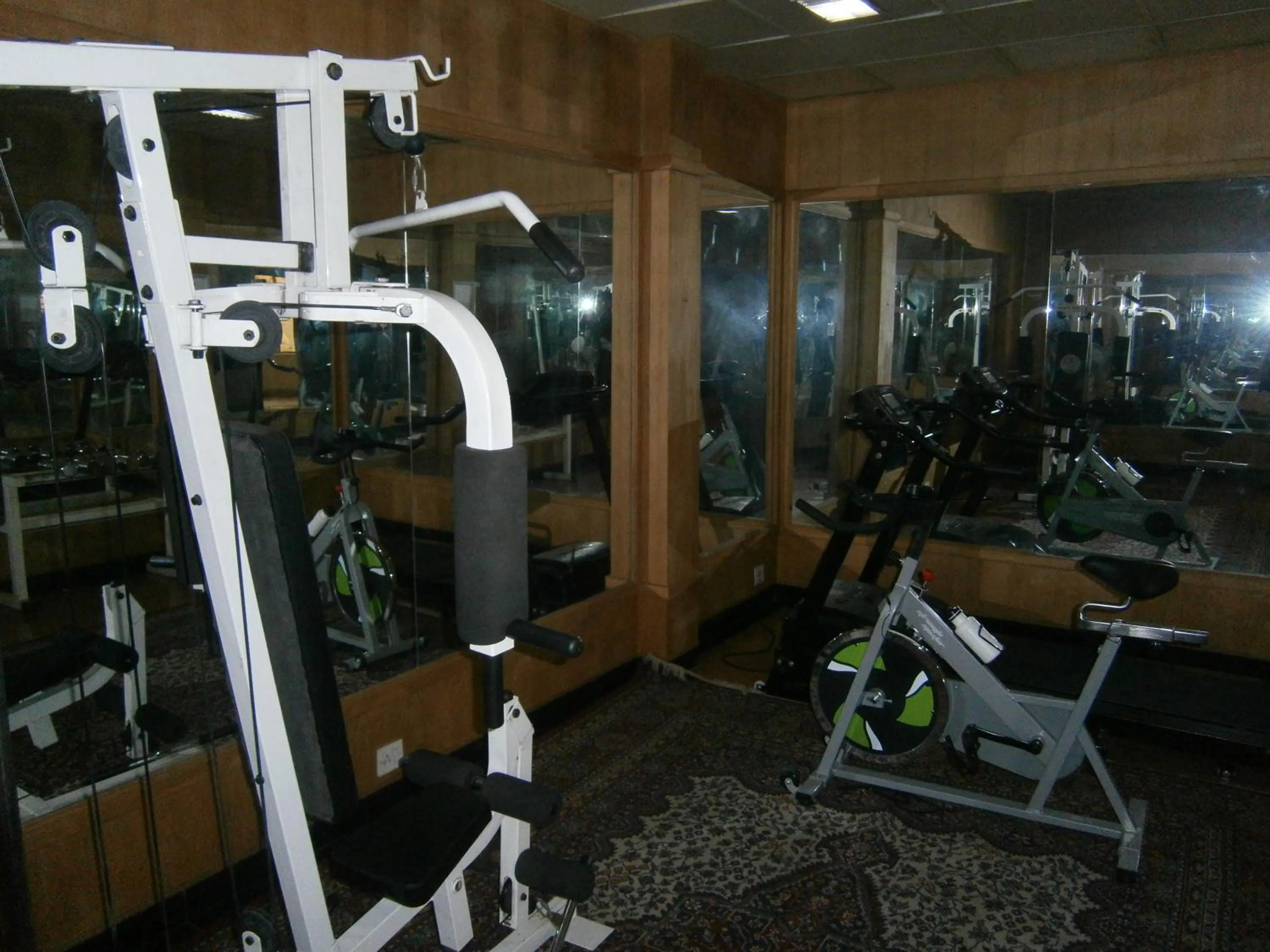 Fitness centre/facilities in Quality Airport Hotels
