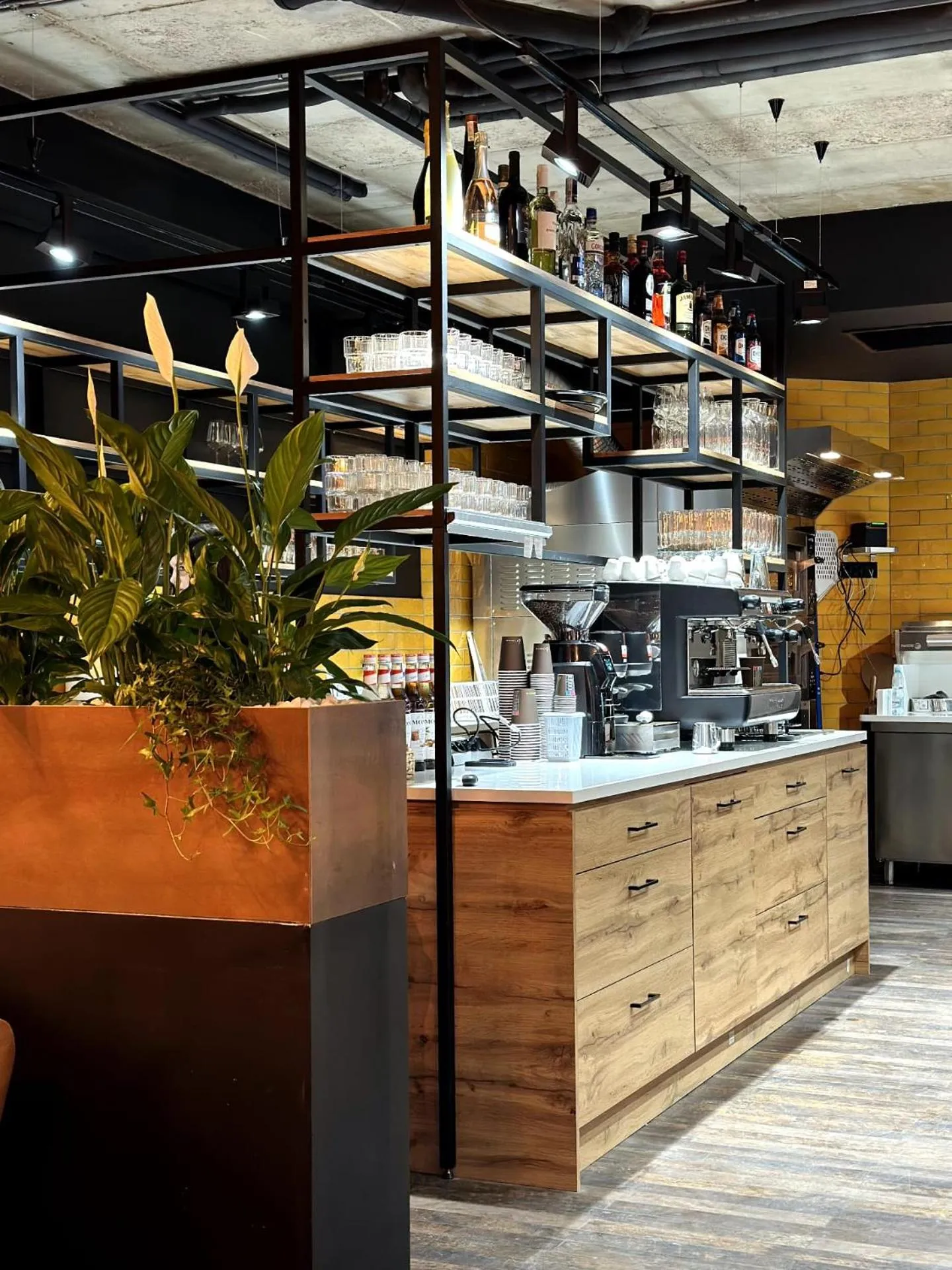 Great Polonia Kraków Kazimierz