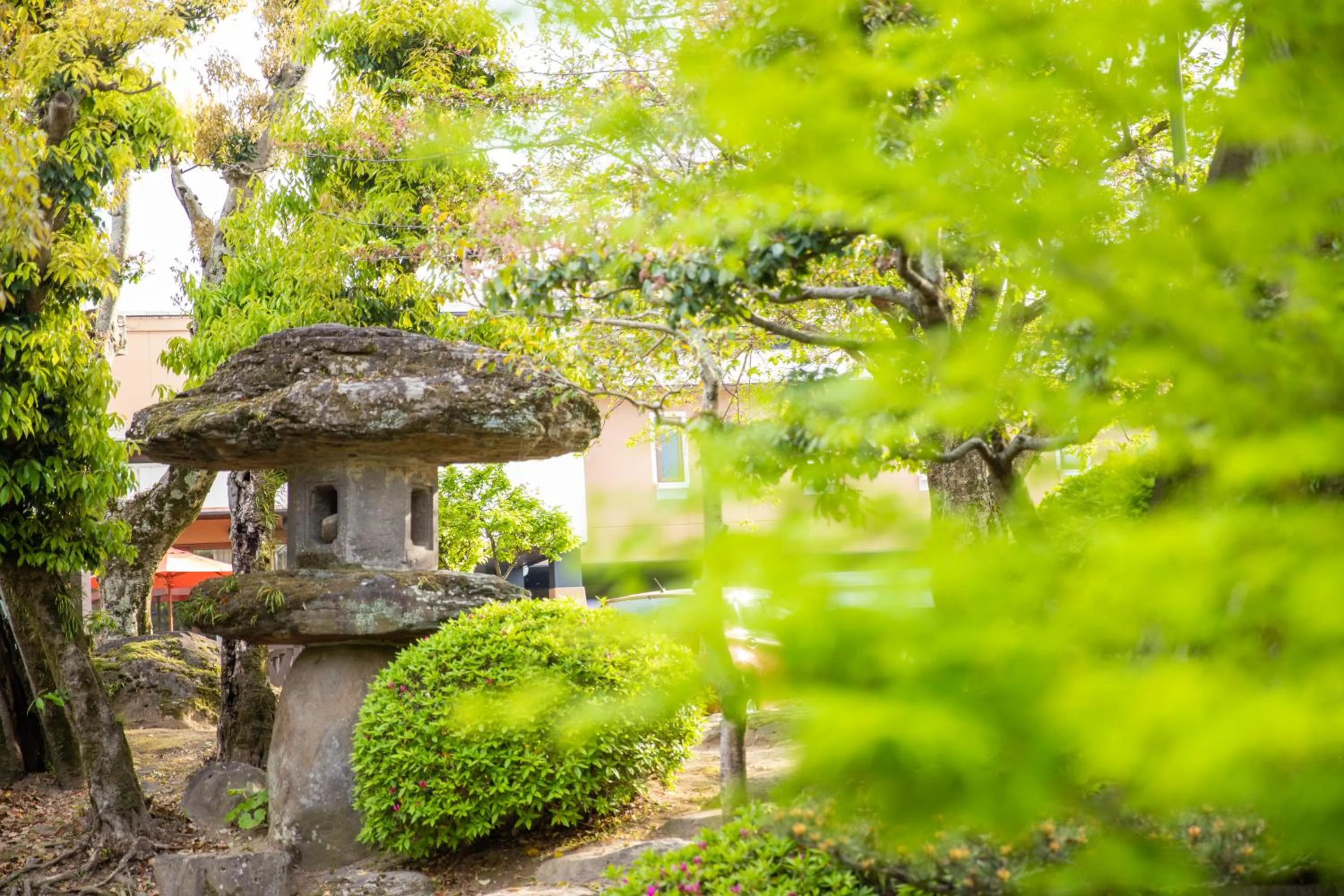 Garden in Usa Hotel Riverside
