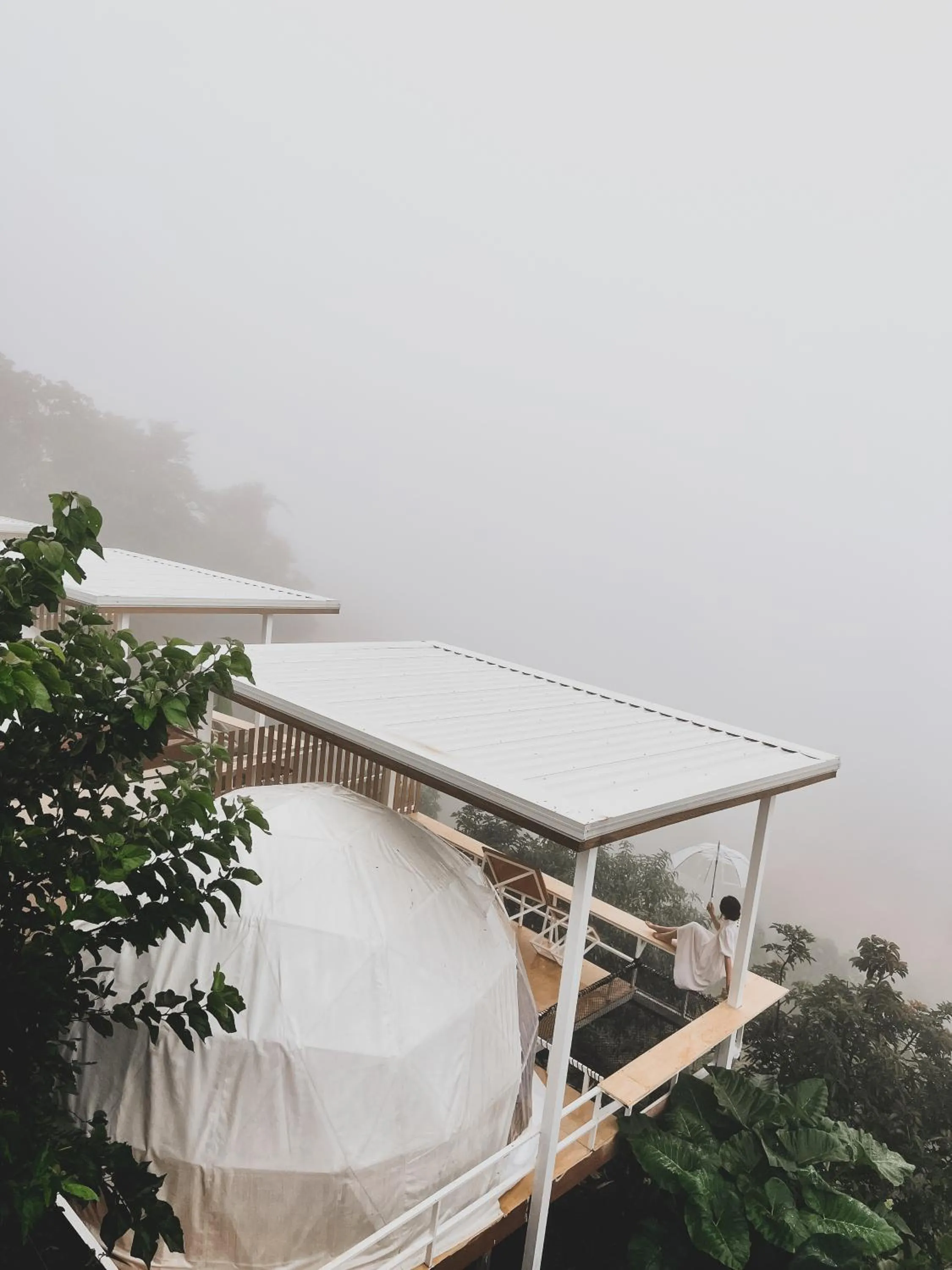 Natural landscape in ม่อนชาพาเพลิน ม่อนแจ่ม Monchapaplearn Monjam