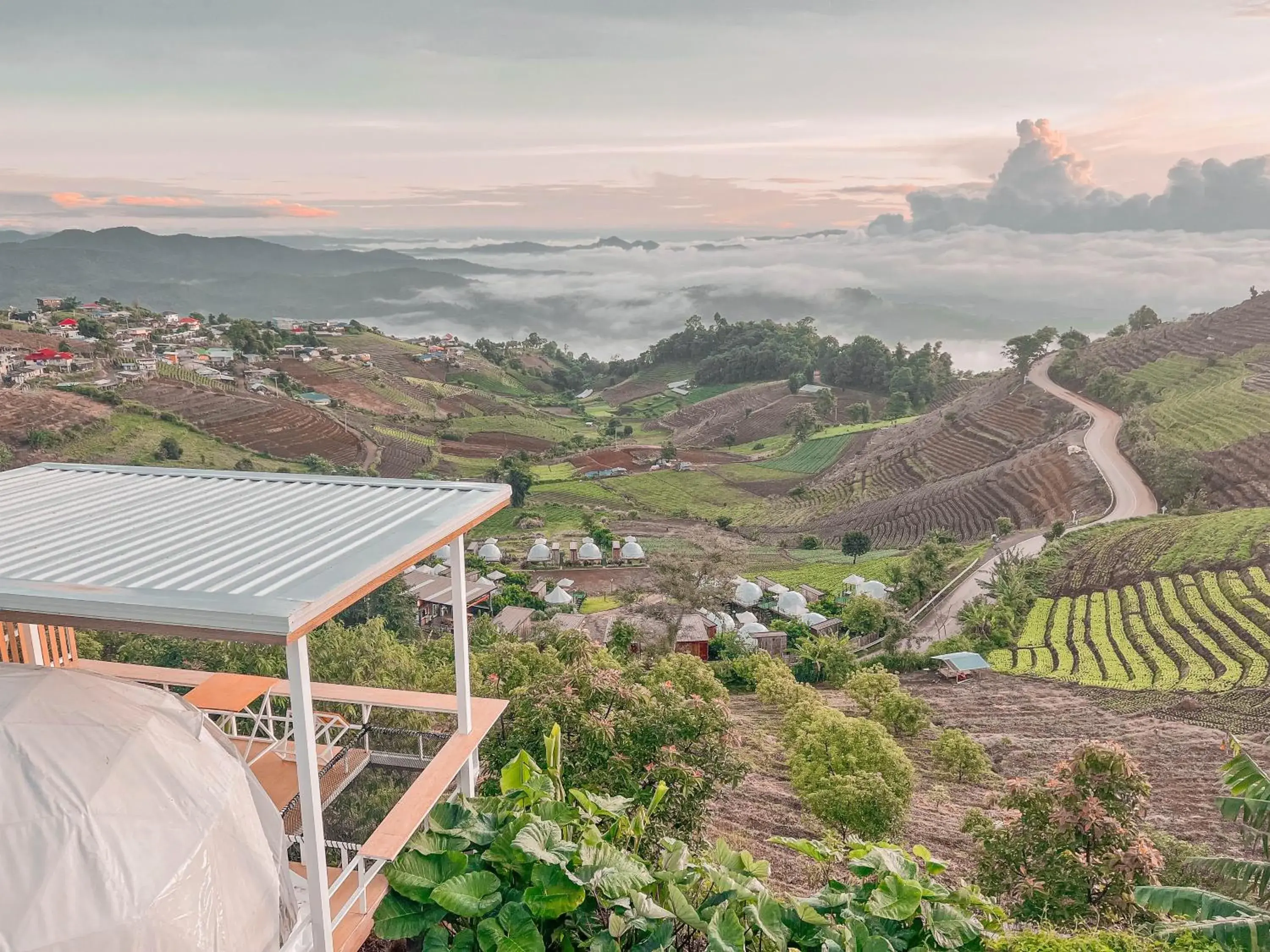 Tent in ม่อนชาพาเพลิน ม่อนแจ่ม Monchapaplearn Monjam Tent in ม่อนชาพาเพลิน ม่อนแจ่ม Monchapaplearn Monjam