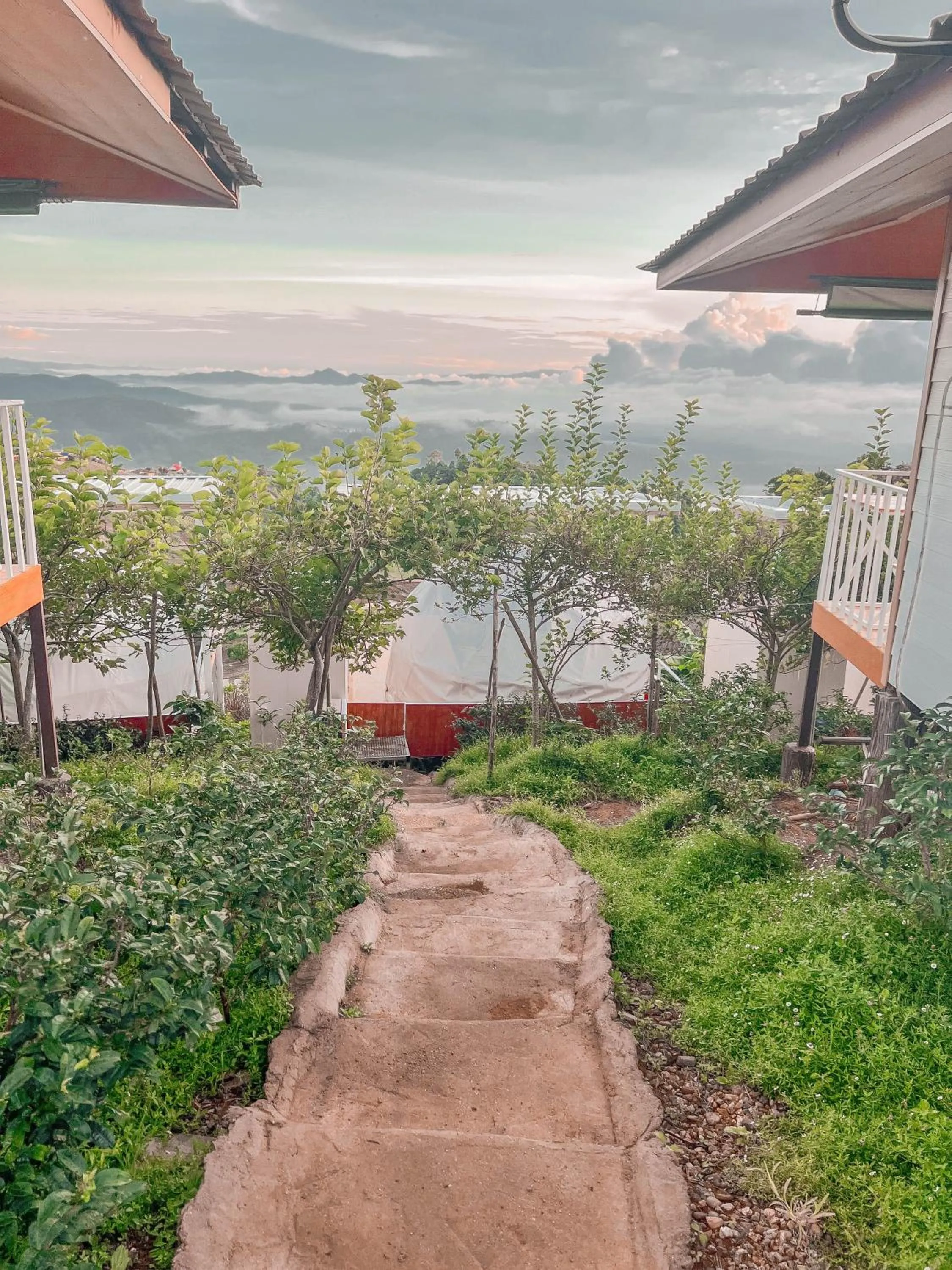 View (from property/room) in ม่อนชาพาเพลิน ม่อนแจ่ม Monchapaplearn Monjam