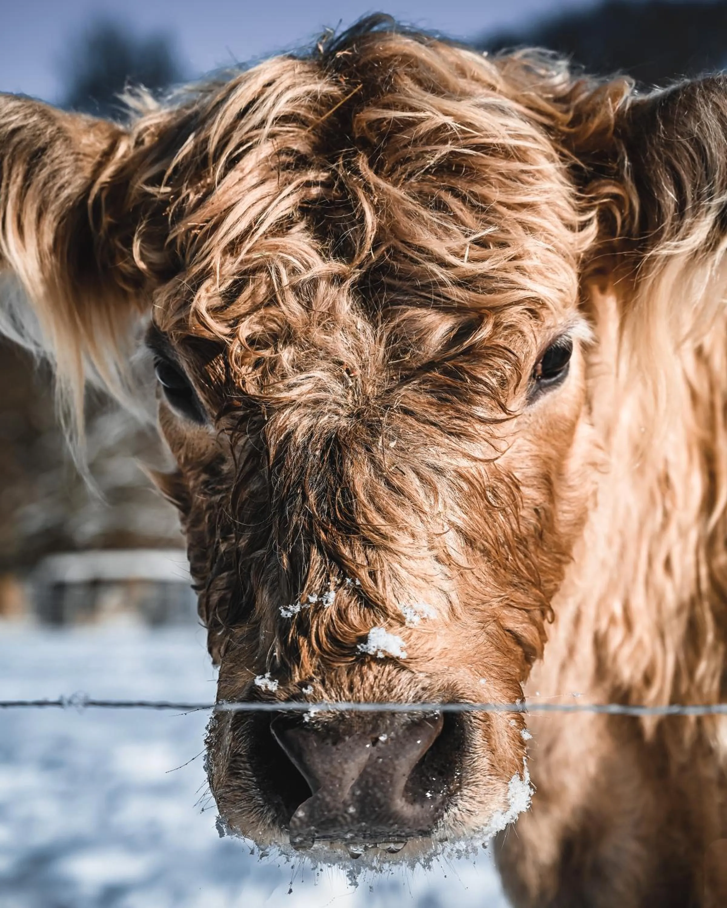 Sommers Hotel Altes Posteck