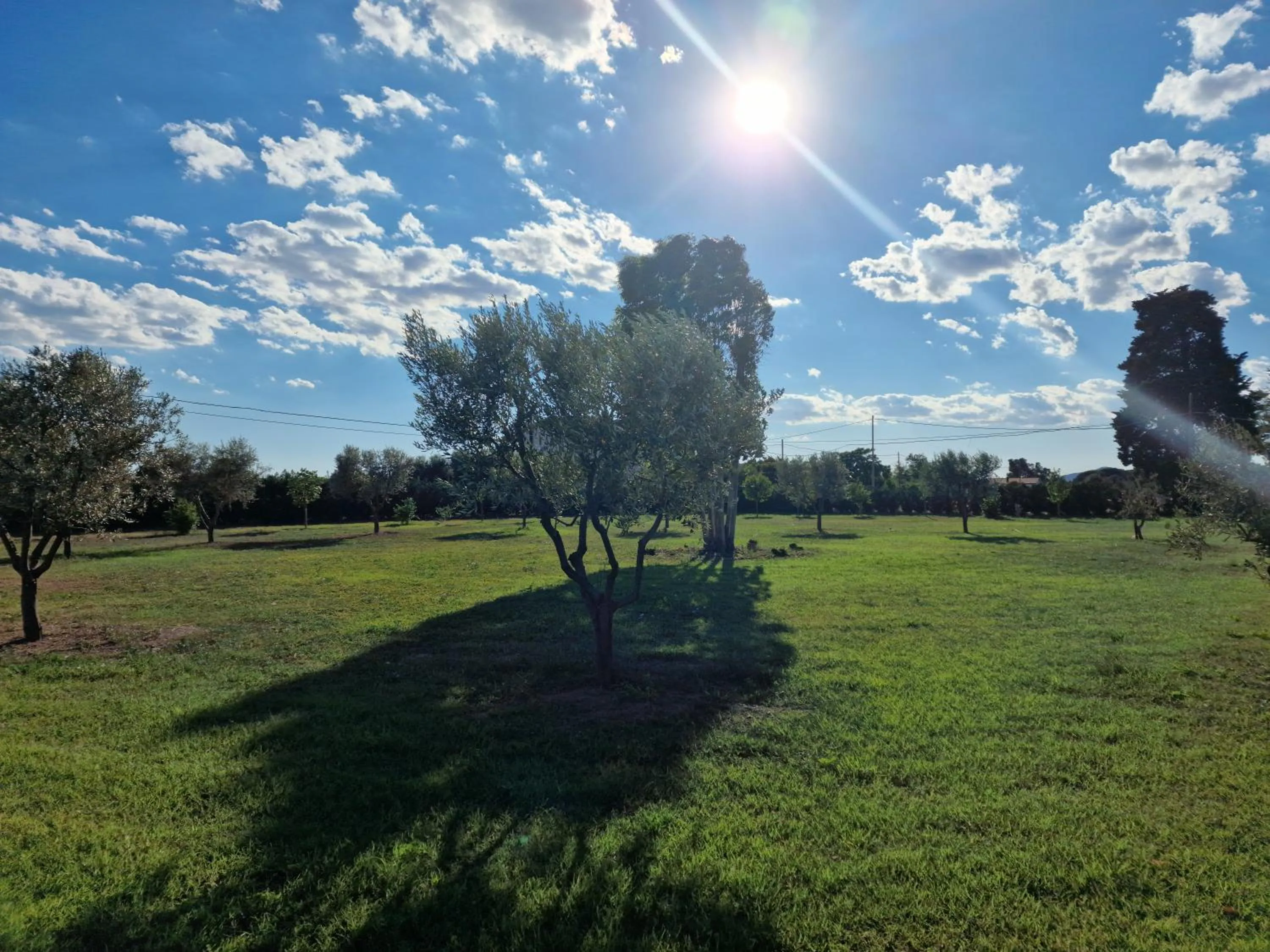 Garden in Residence la Pace - Pool & Relax