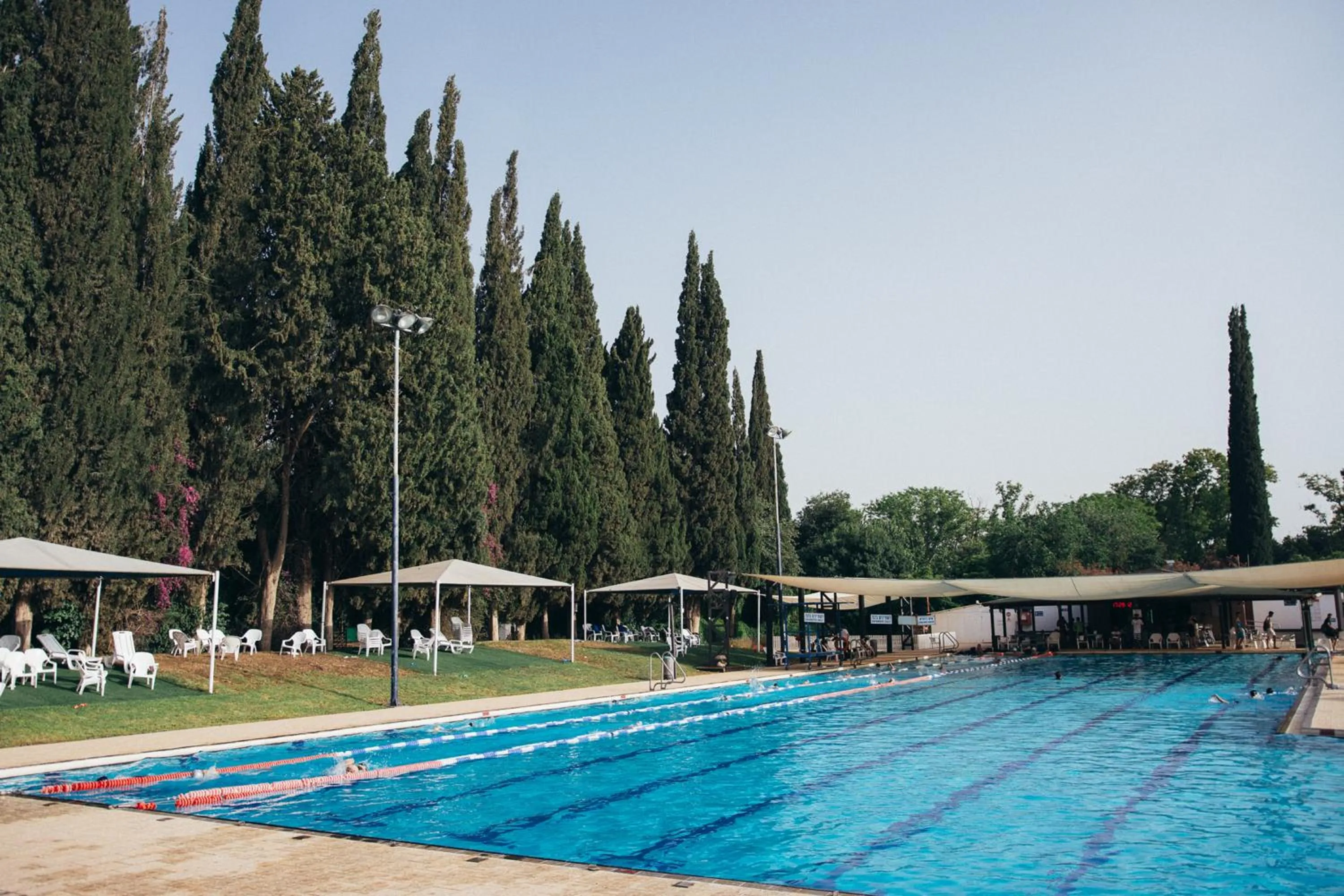 Swimming pool in Pastoral Hotel - Kfar Blum