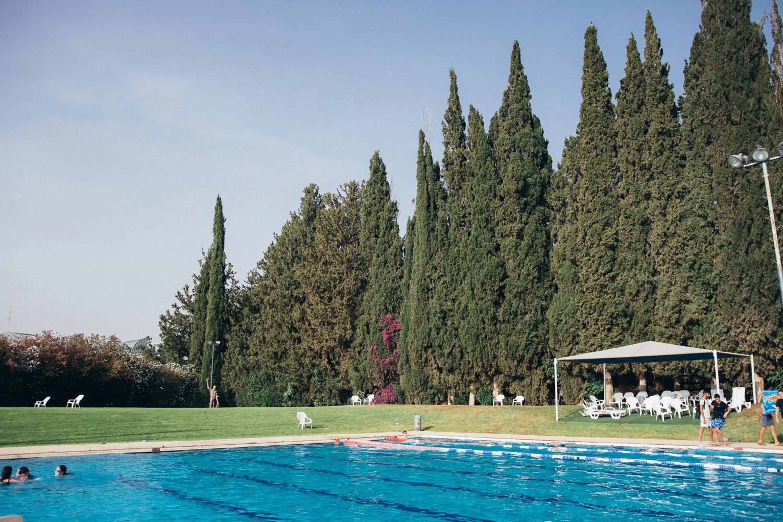 Swimming pool in Pastoral Hotel - Kfar Blum