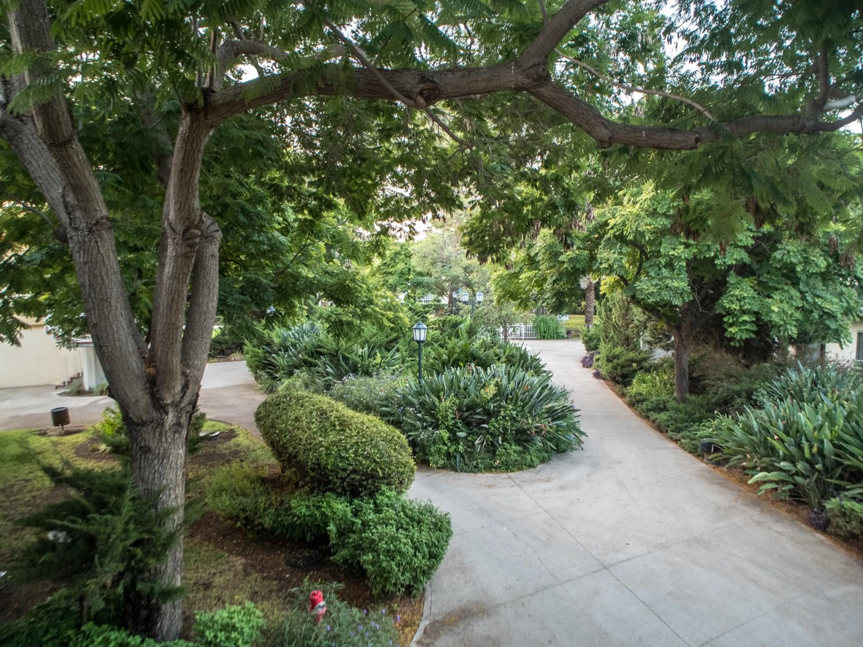 Garden in Pastoral Hotel - Kfar Blum