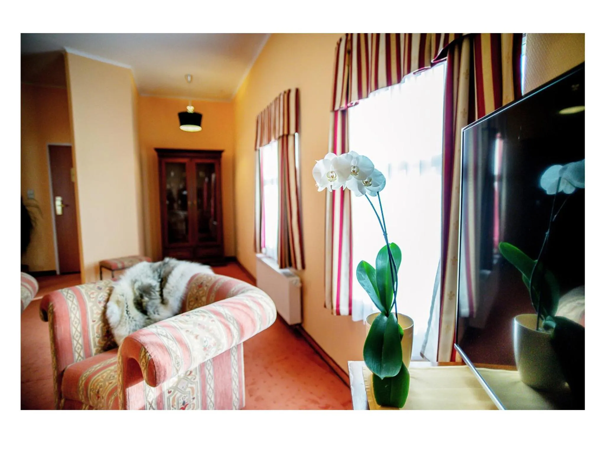 Day, Bed in Hotel Fenix