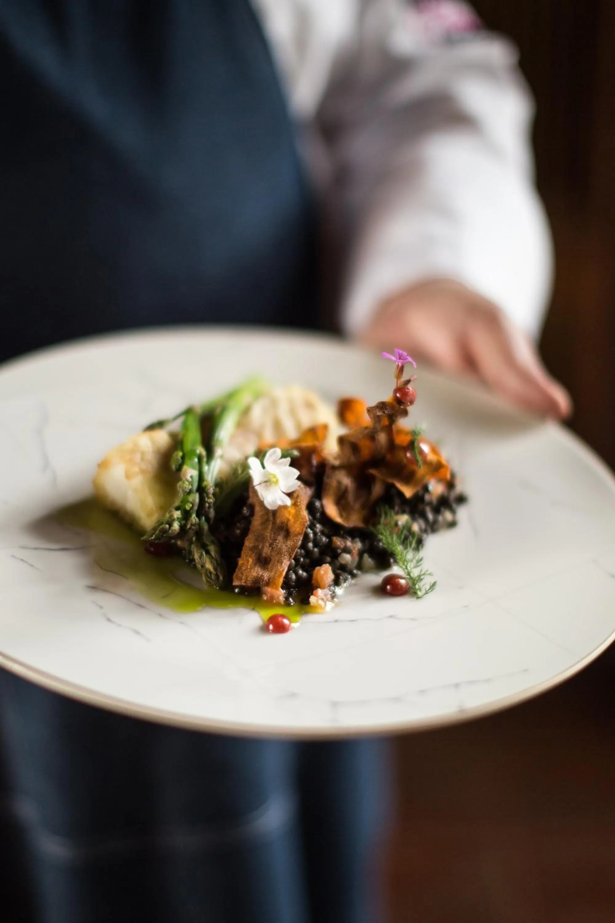 Food close-up in Pałac Paulinum