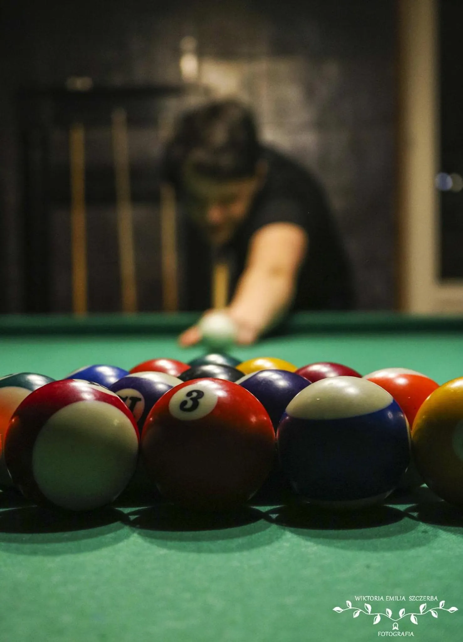 Activities in Pałac Paulinum