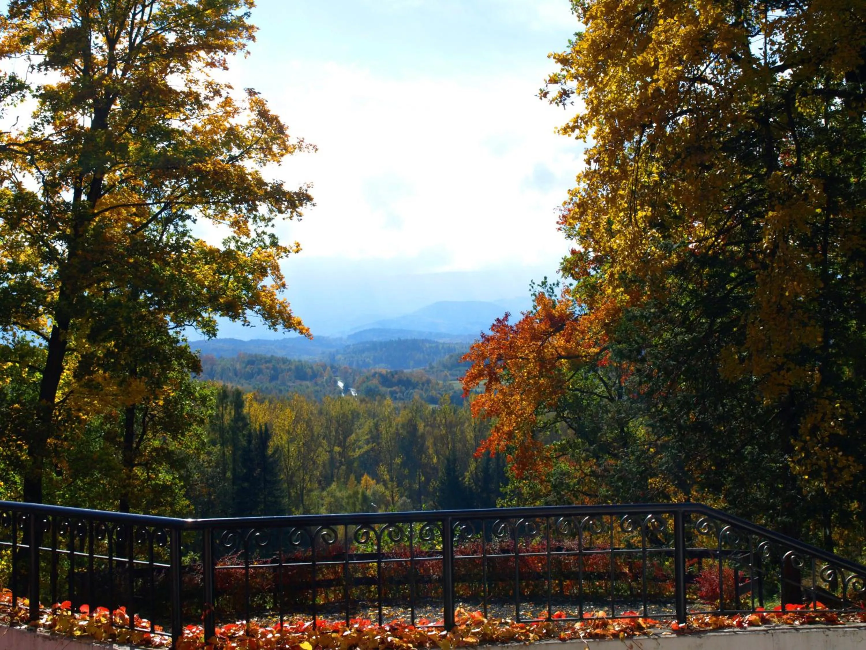 Natural landscape in Pałac Paulinum