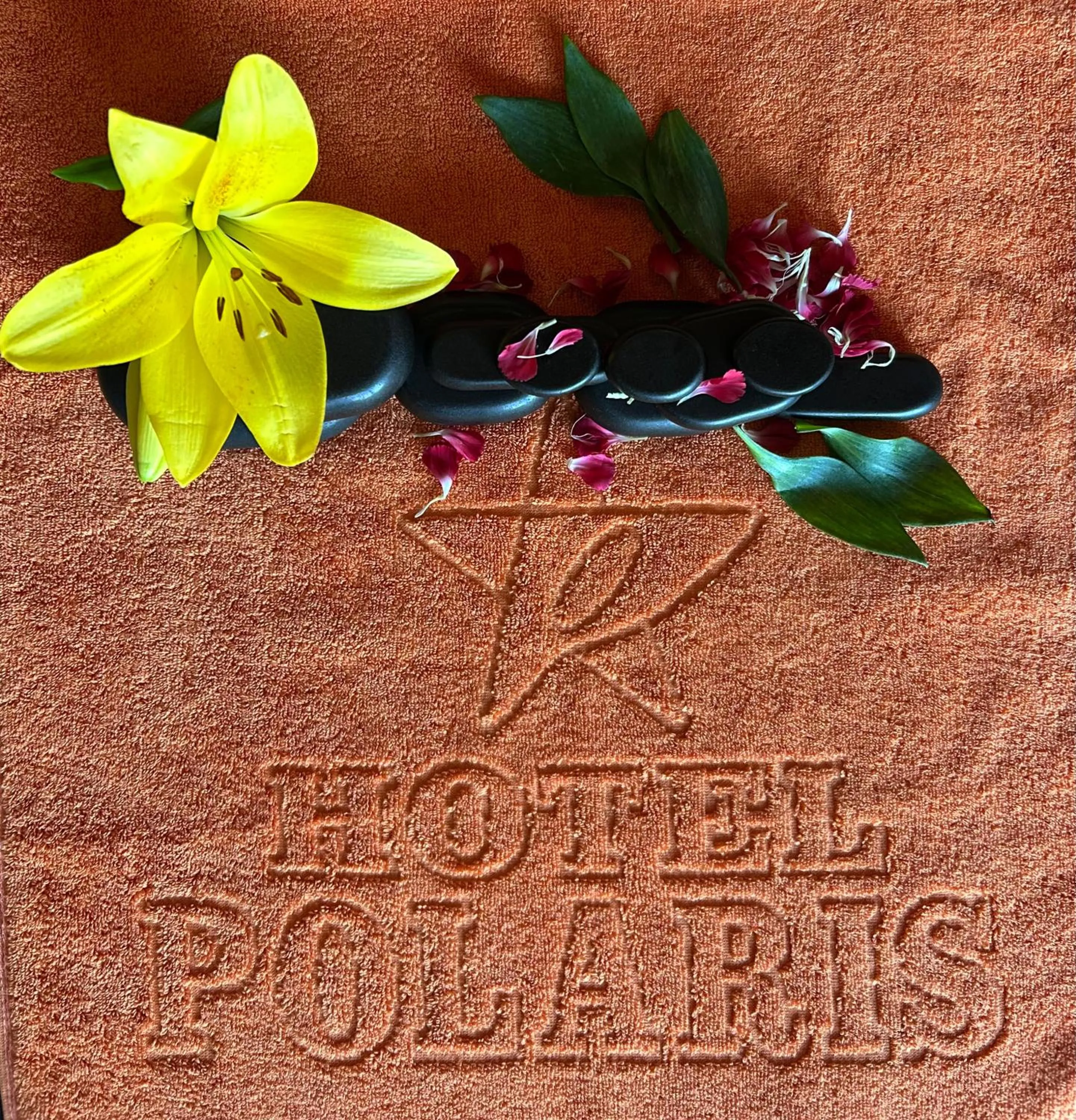 Spa and wellness centre/facilities in Hotel Polaris