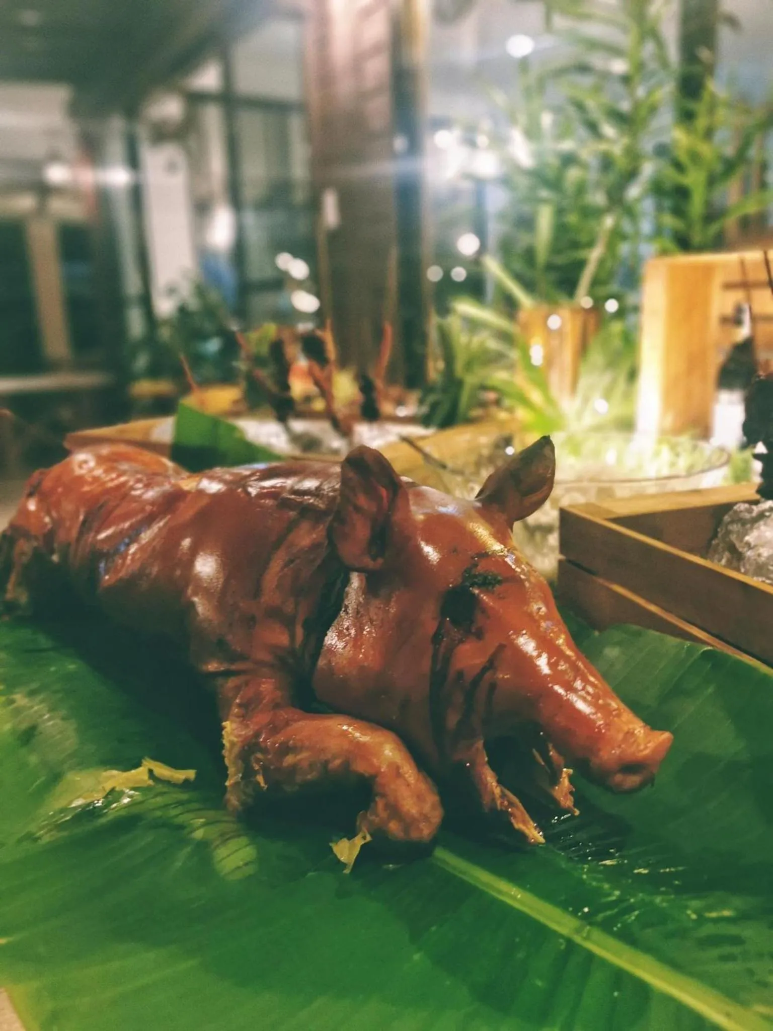 Food in Infinity Diving Resort and Residences