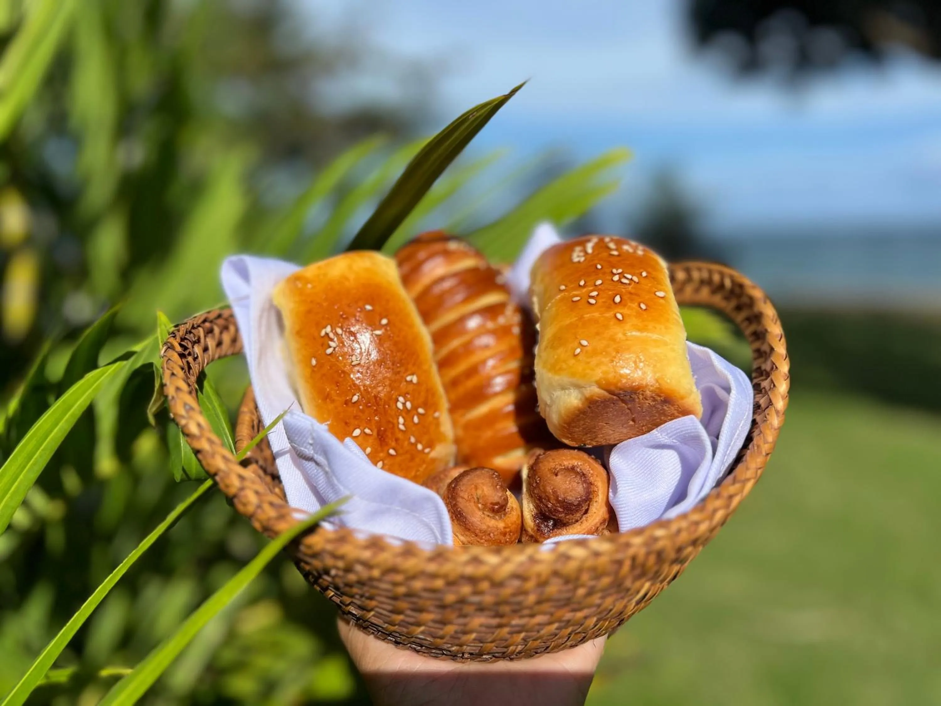 Food in Infinity Diving Resort and Residences