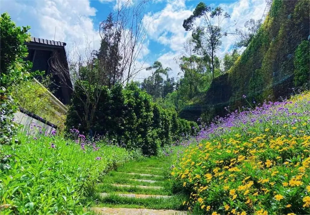 Garden in Pullman Yuxi