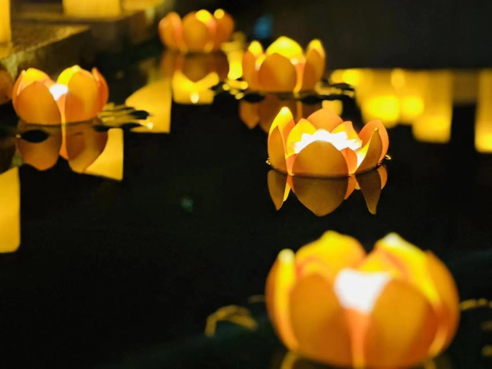 Night in Pullman Yuxi