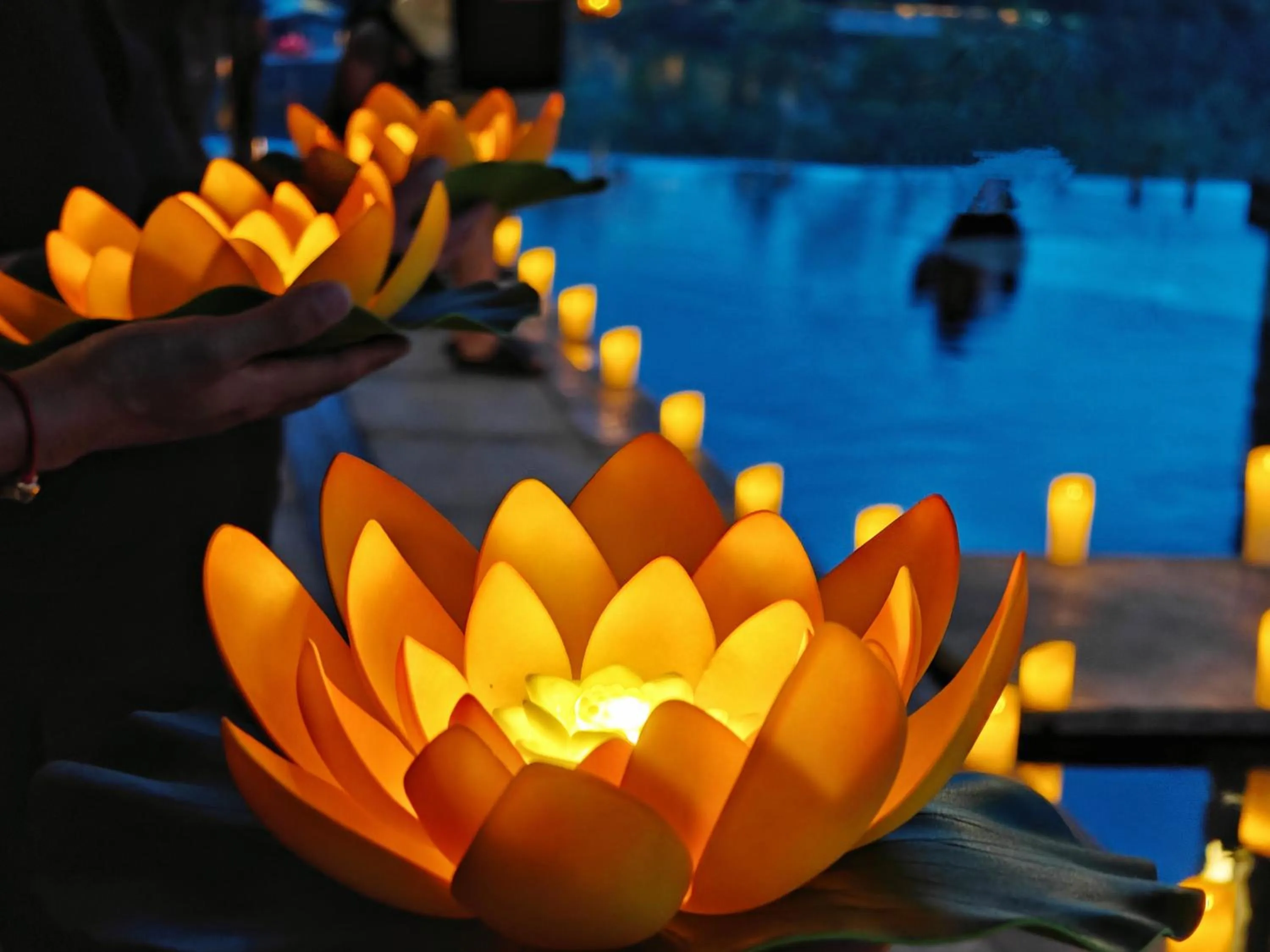 Night in Pullman Yuxi