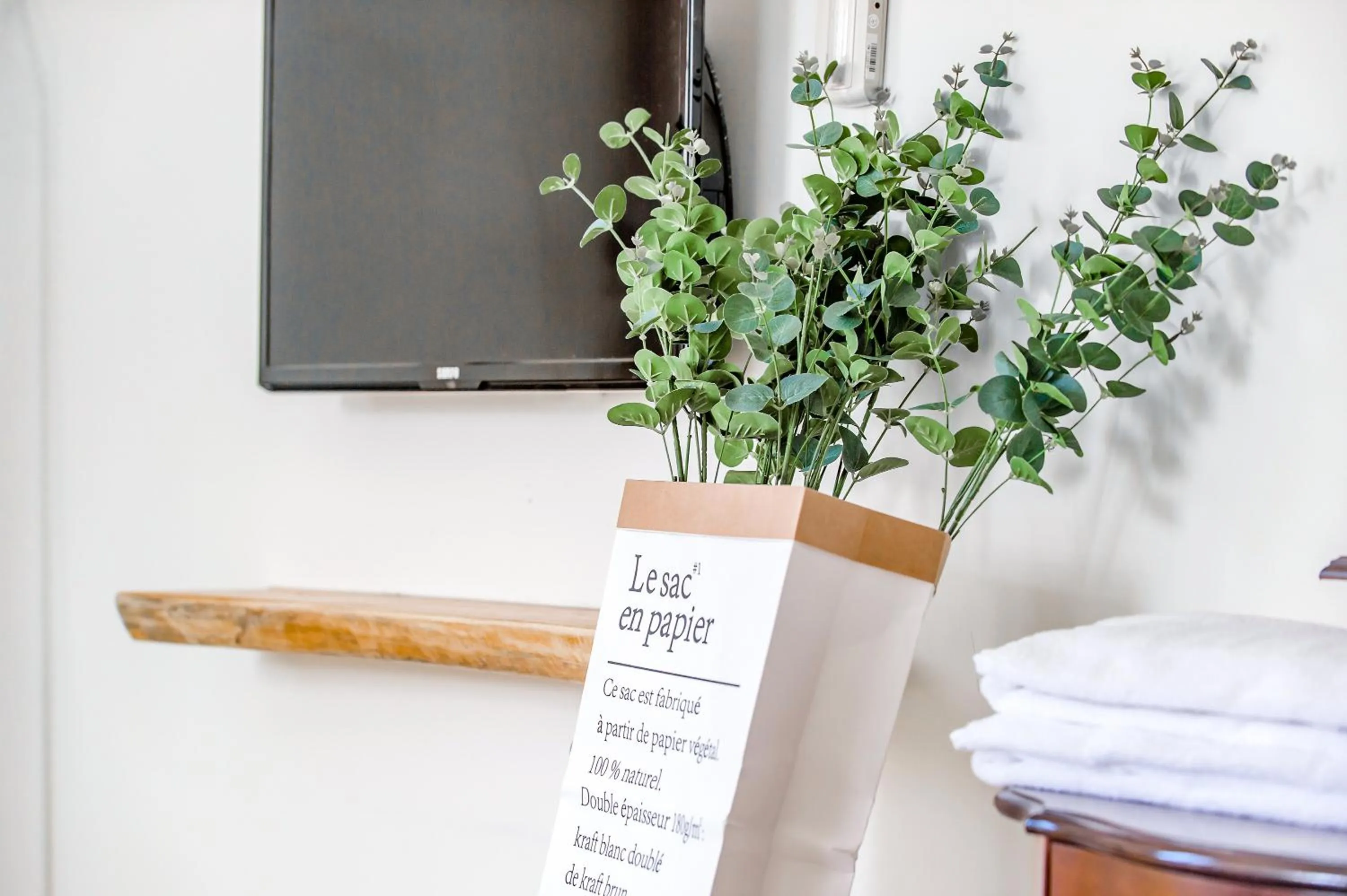 Photo of the whole room in Travel Road WuWu