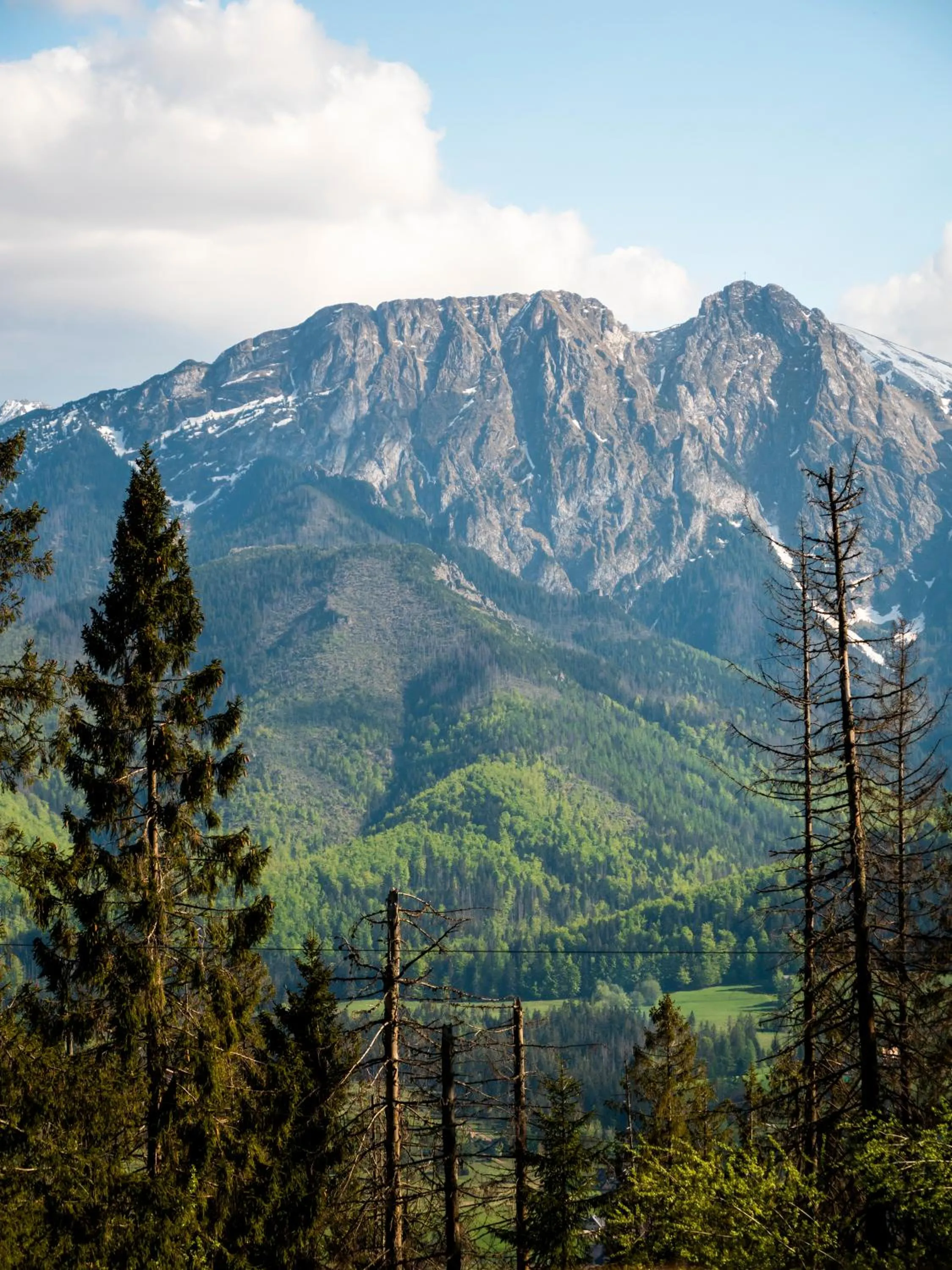 Natural landscape in Kolejarz Natura Tour