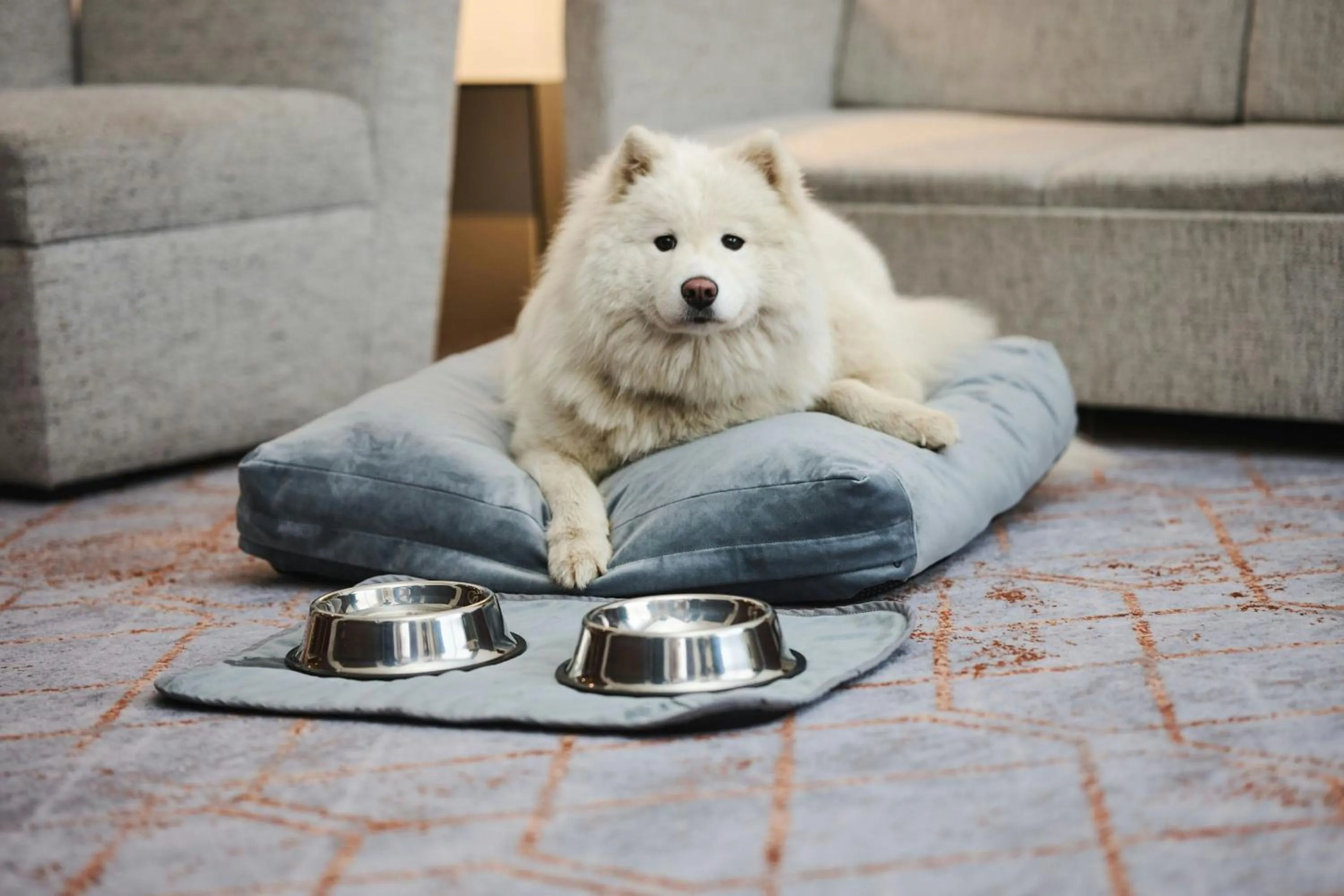 Other in Sheraton Poznan Hotel