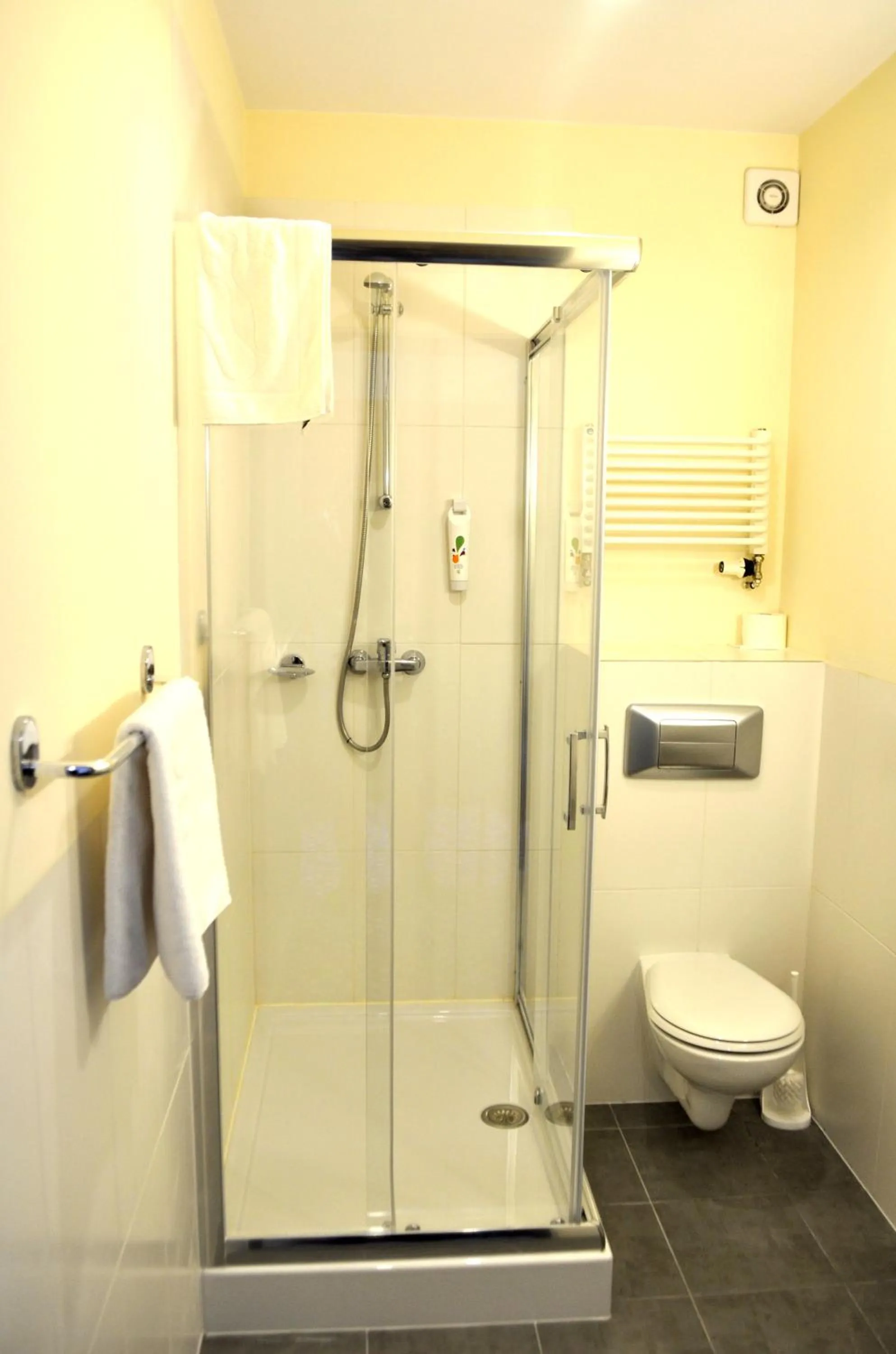 Shower in ibis Styles Warszawa West