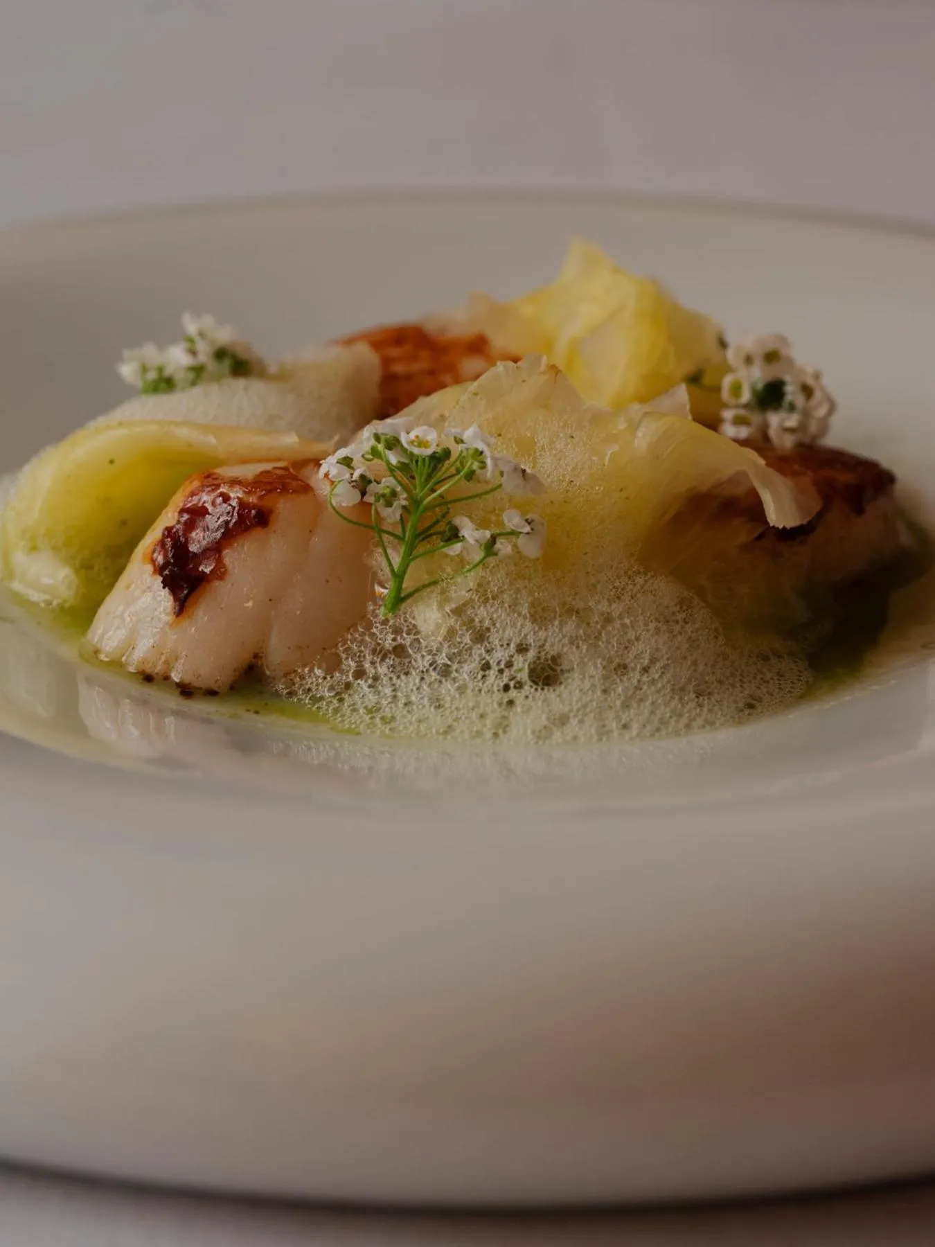 Restaurant/places to eat in Hotel Stary