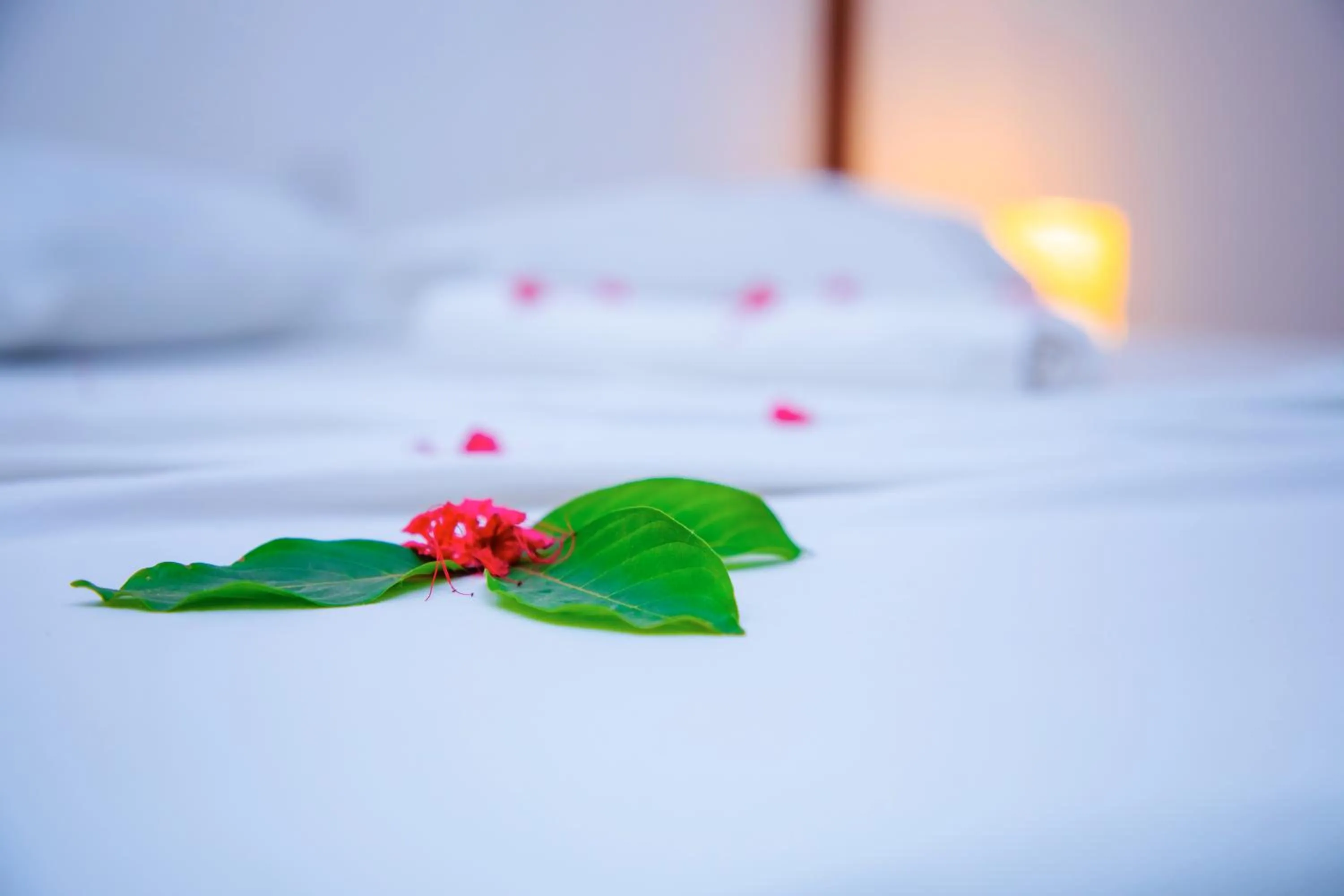 Bed in Art Hotel Zanzibar