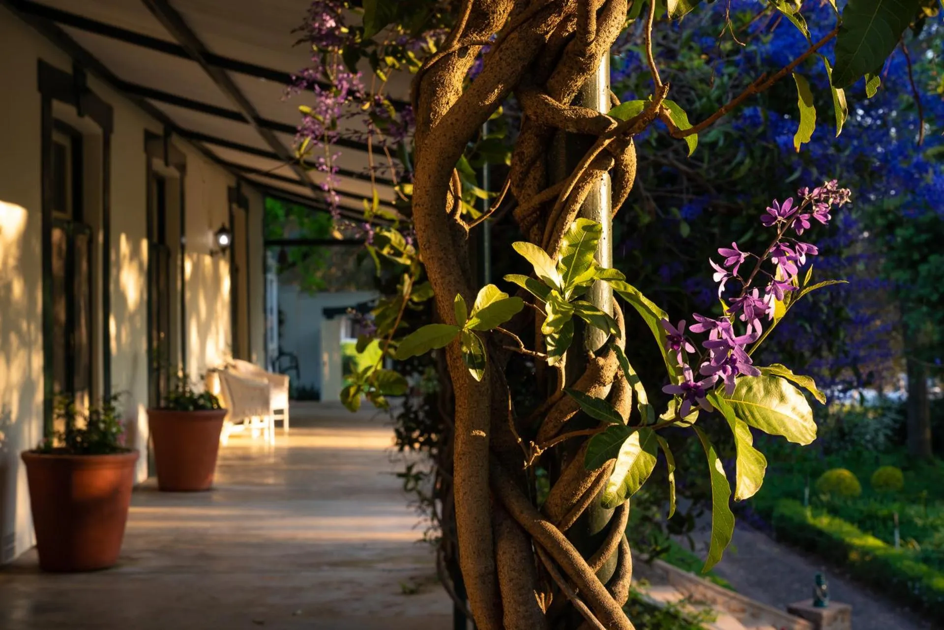 Patio in Bartholomeus Klip Farmhouse at Elandsberg Nature Reserve