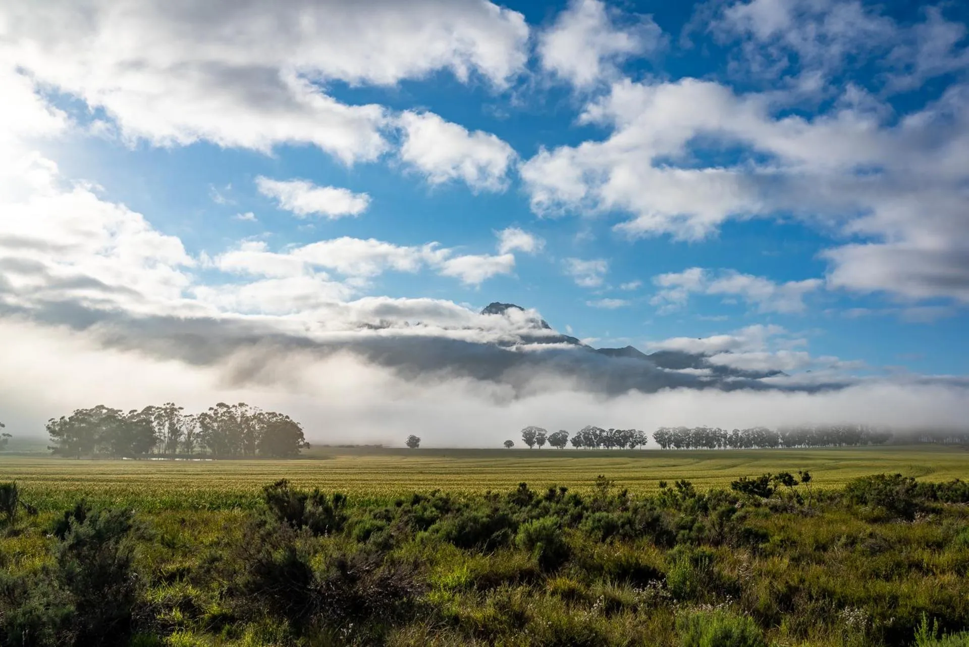On site in Bartholomeus Klip Farmhouse