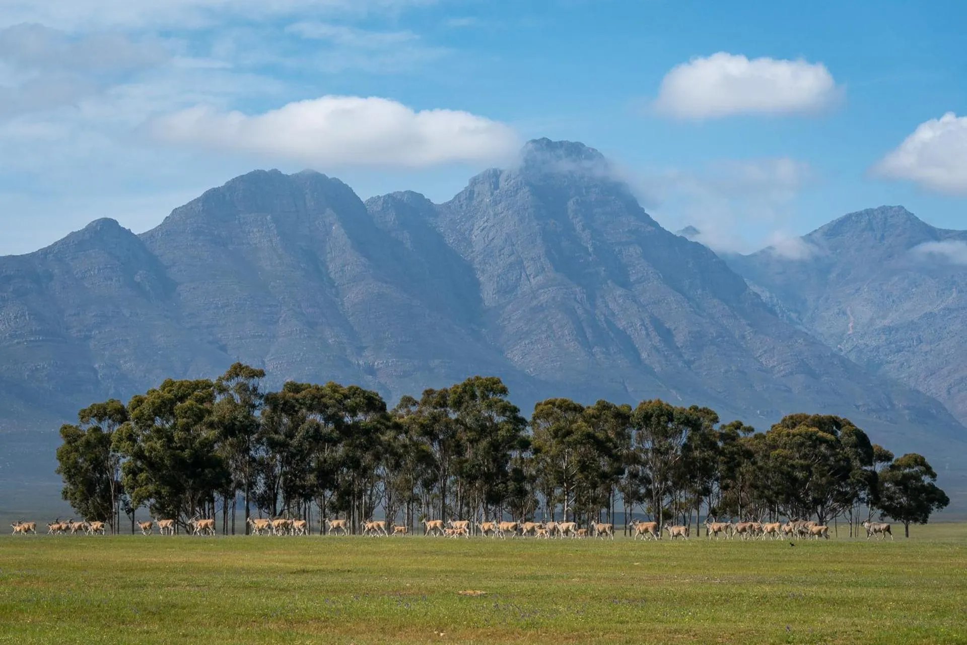 Nearby landmark in Bartholomeus Klip Farmhouse