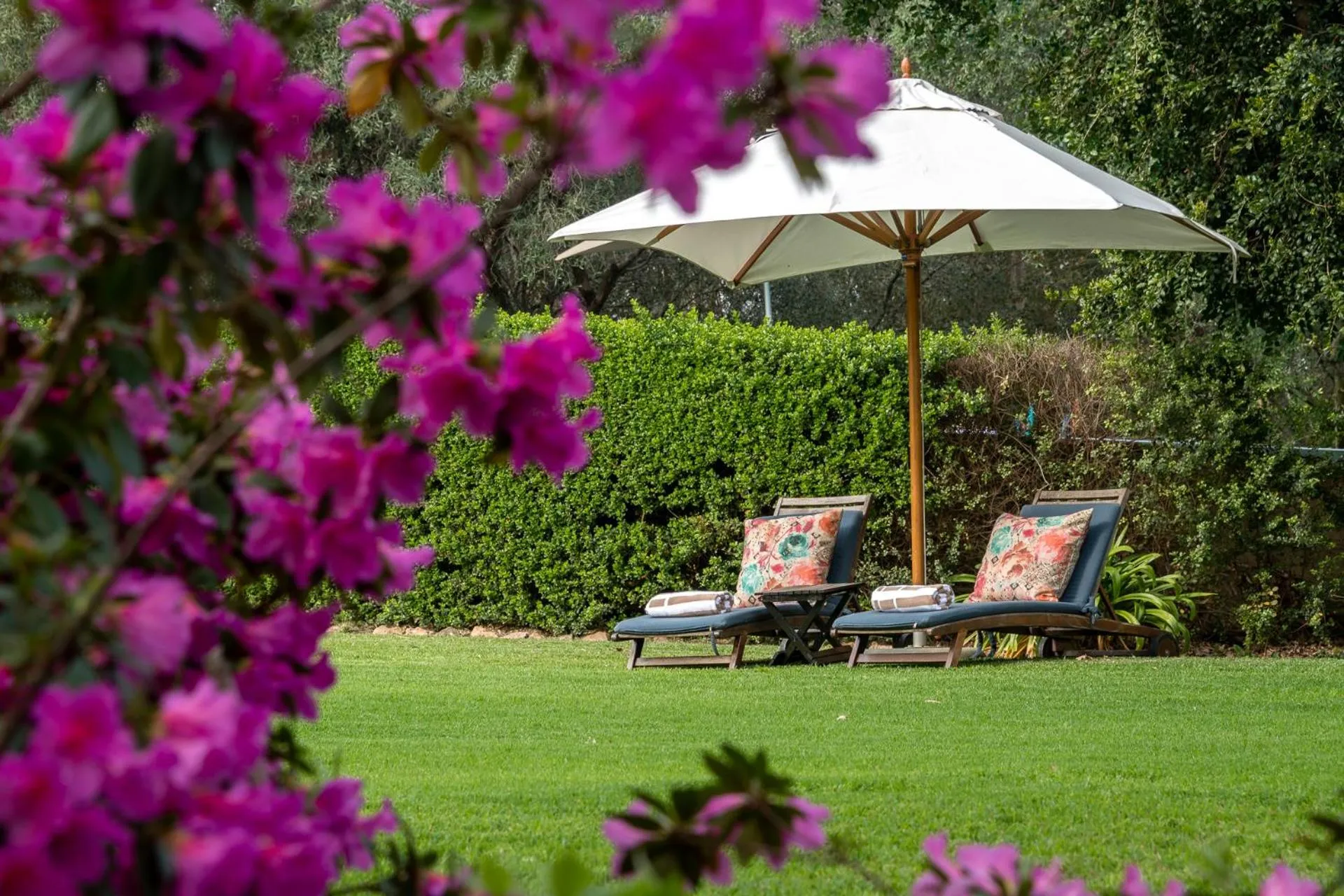 Garden in Bartholomeus Klip Farmhouse