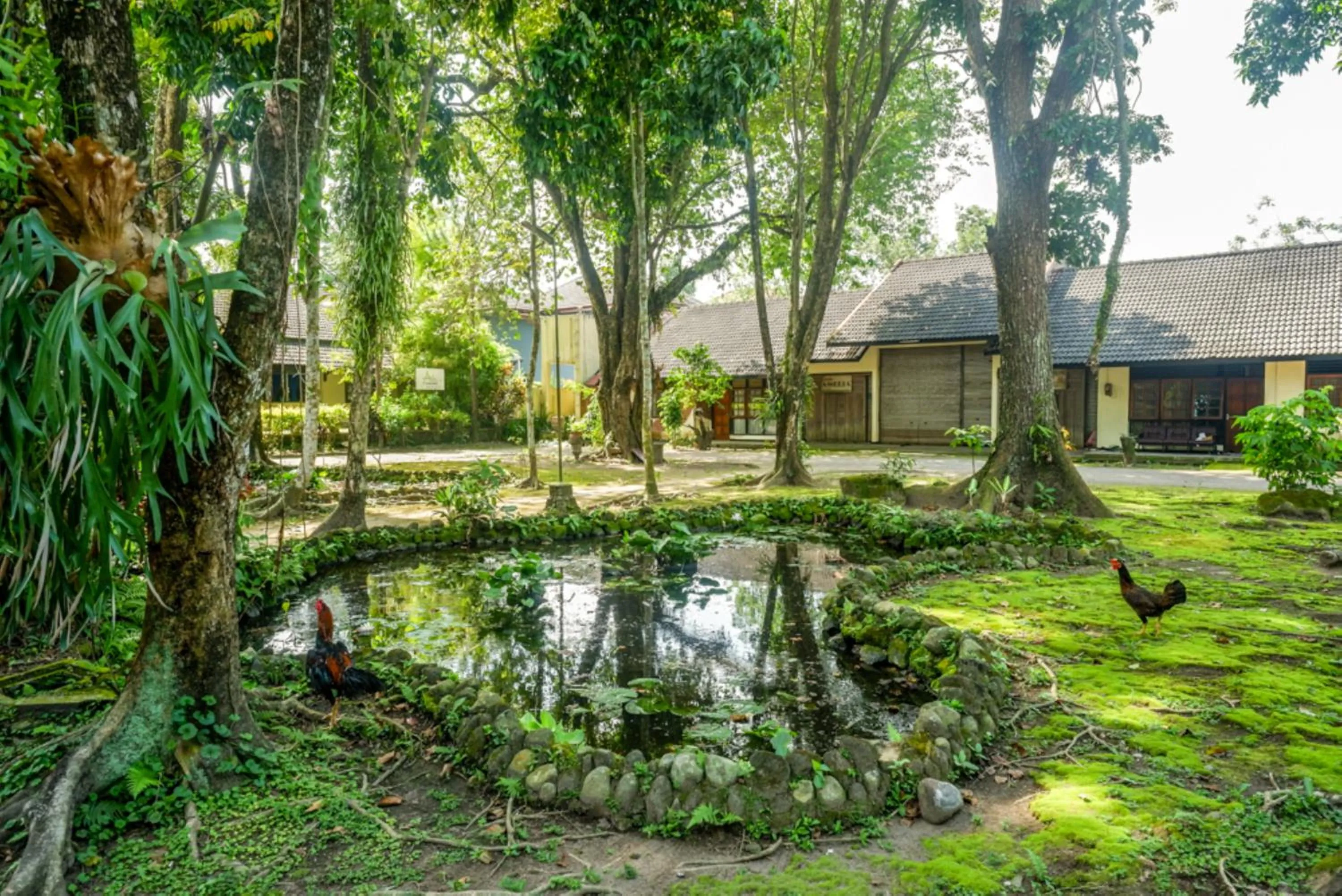 Urbanview Resort Kampoeng Media Yogyakarta by RedDoorz