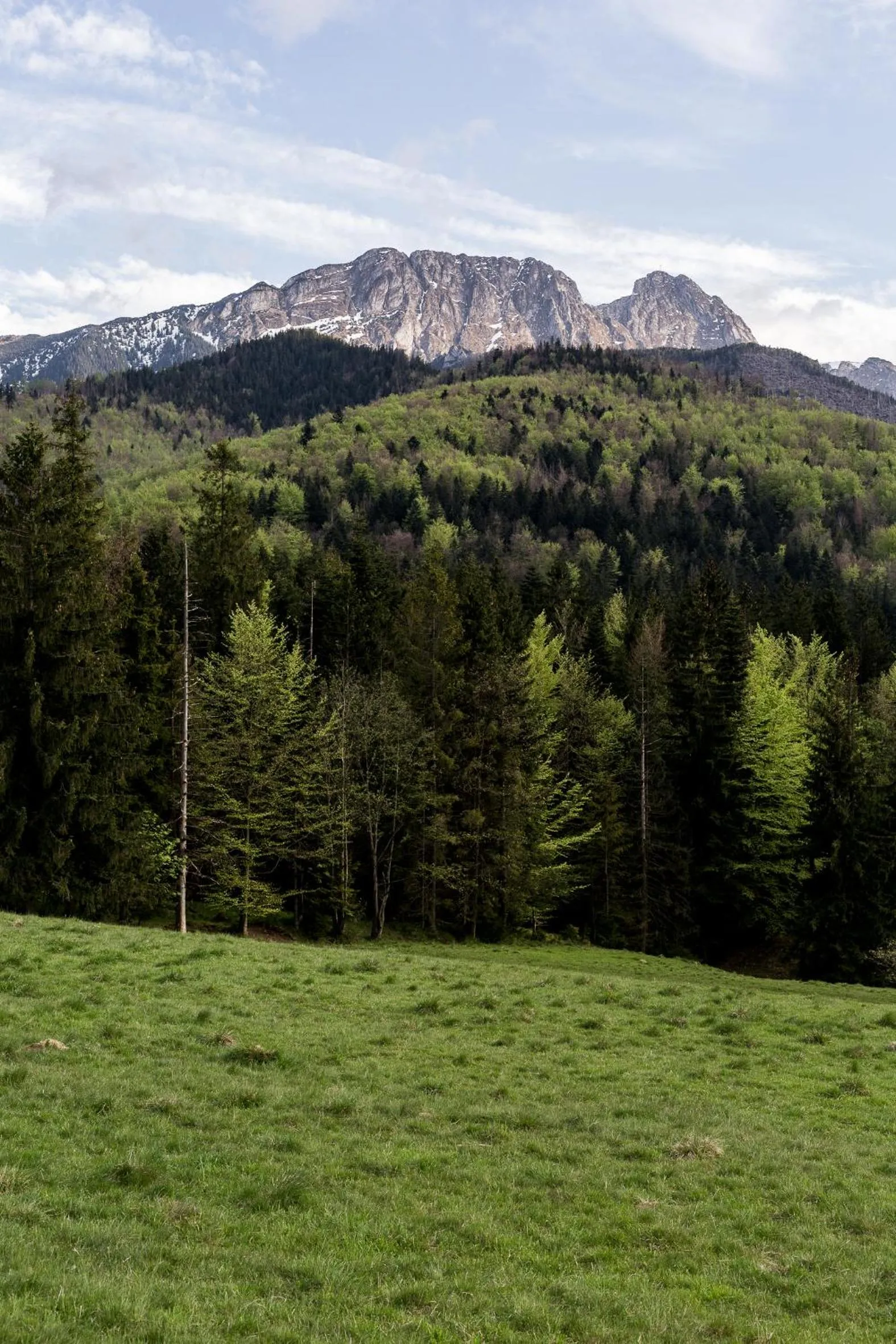 Nearby landmark in Szarotka