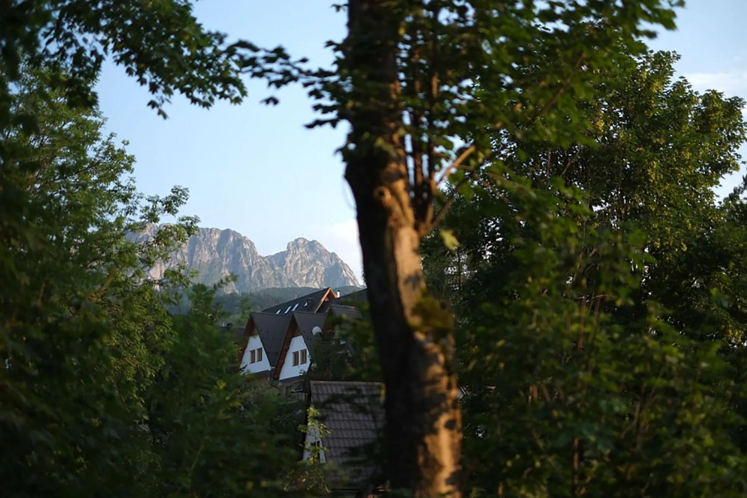 Mountain view in Szarotka