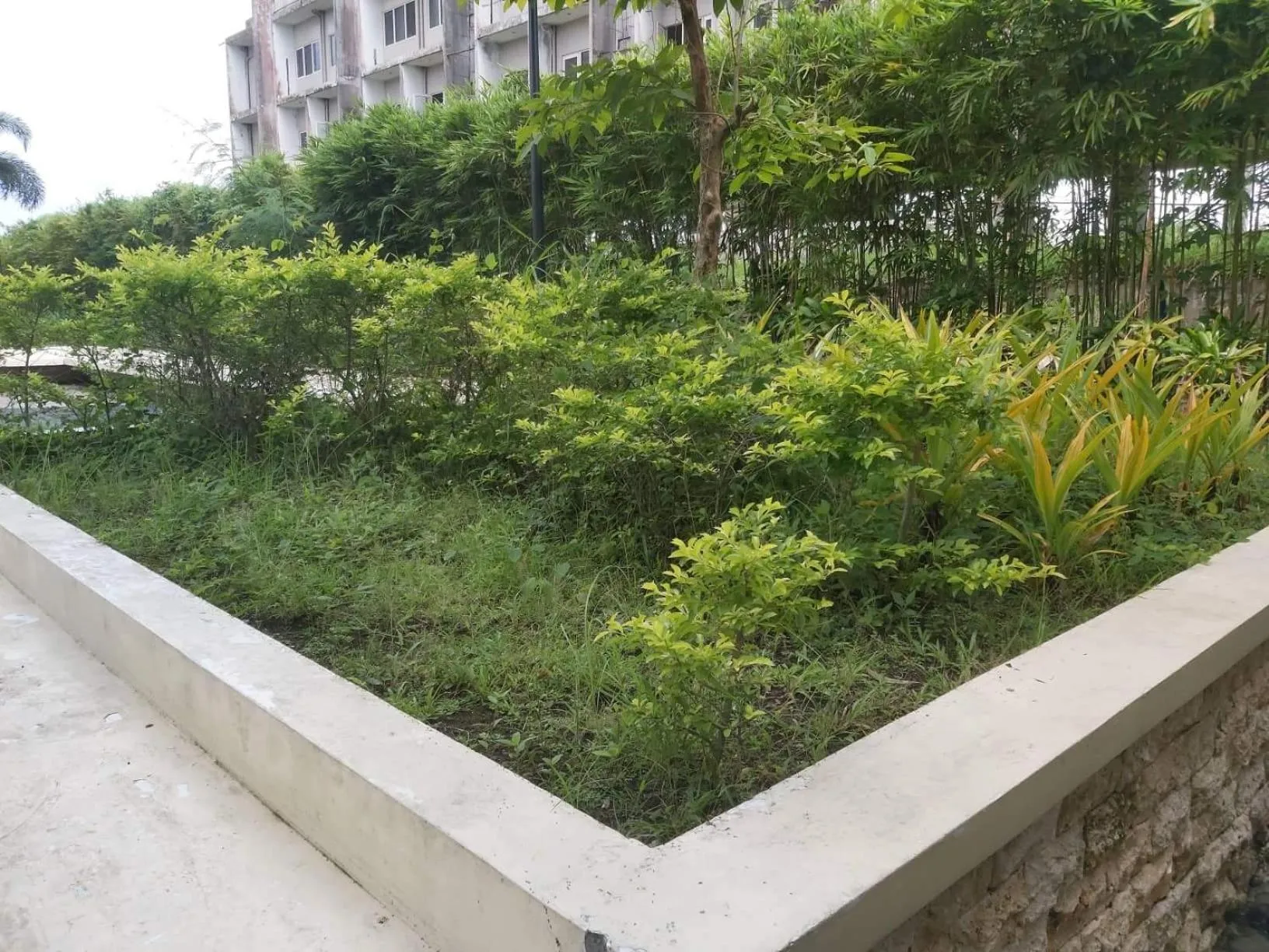 Garden in Affordable Tagaytay Monteluce 2 BR with Pool G28