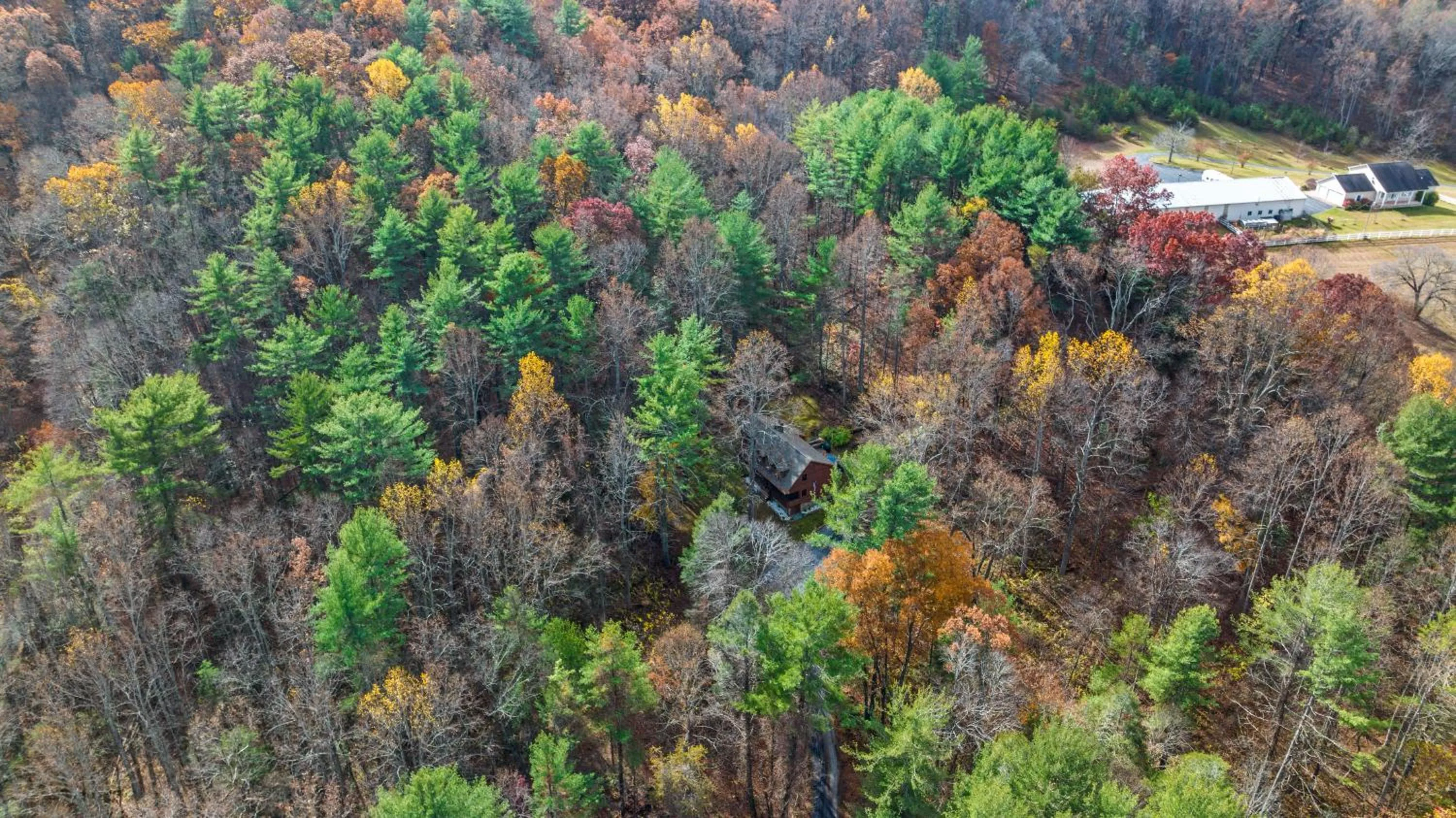 Sleepy Hollow 5BR Cabin - National Park 7 Min, Hot Tub, Fire Pit, Sleeps 12