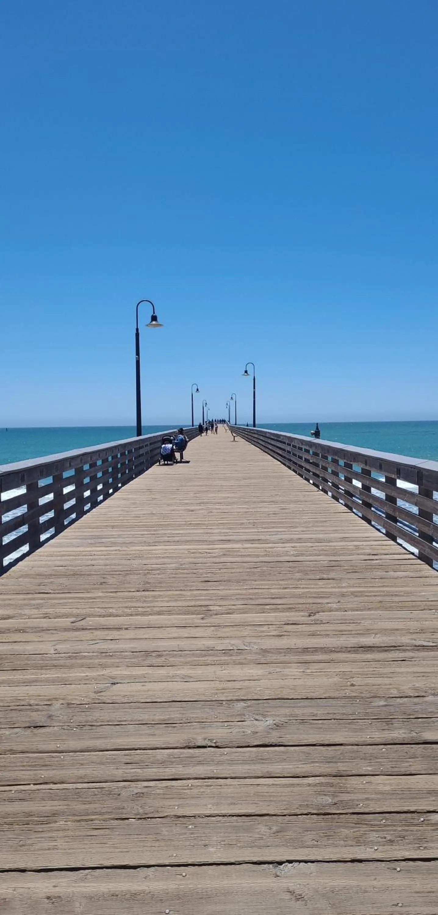 Beach in Cypress Tree Motel