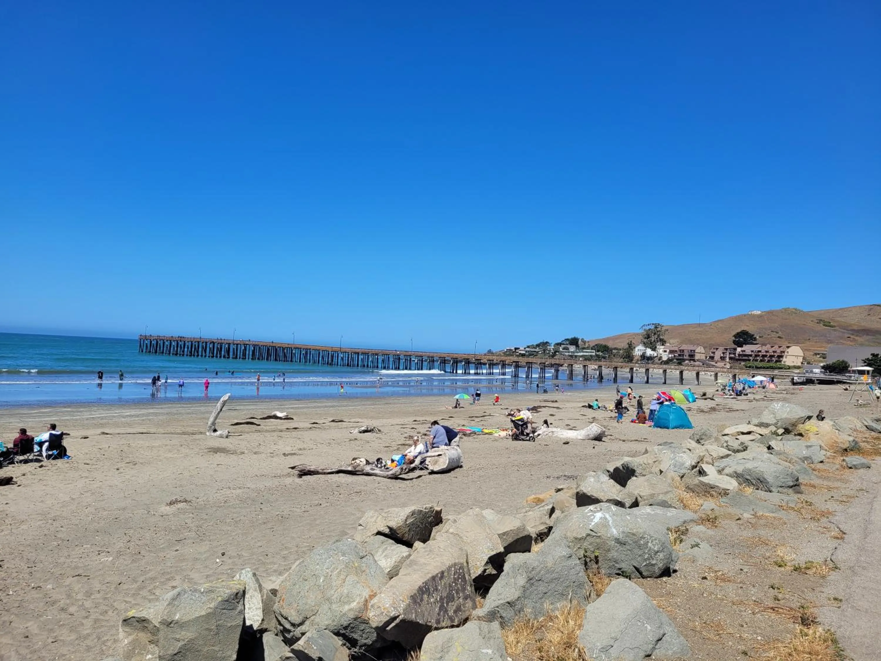 Beach in Cypress Tree Motel